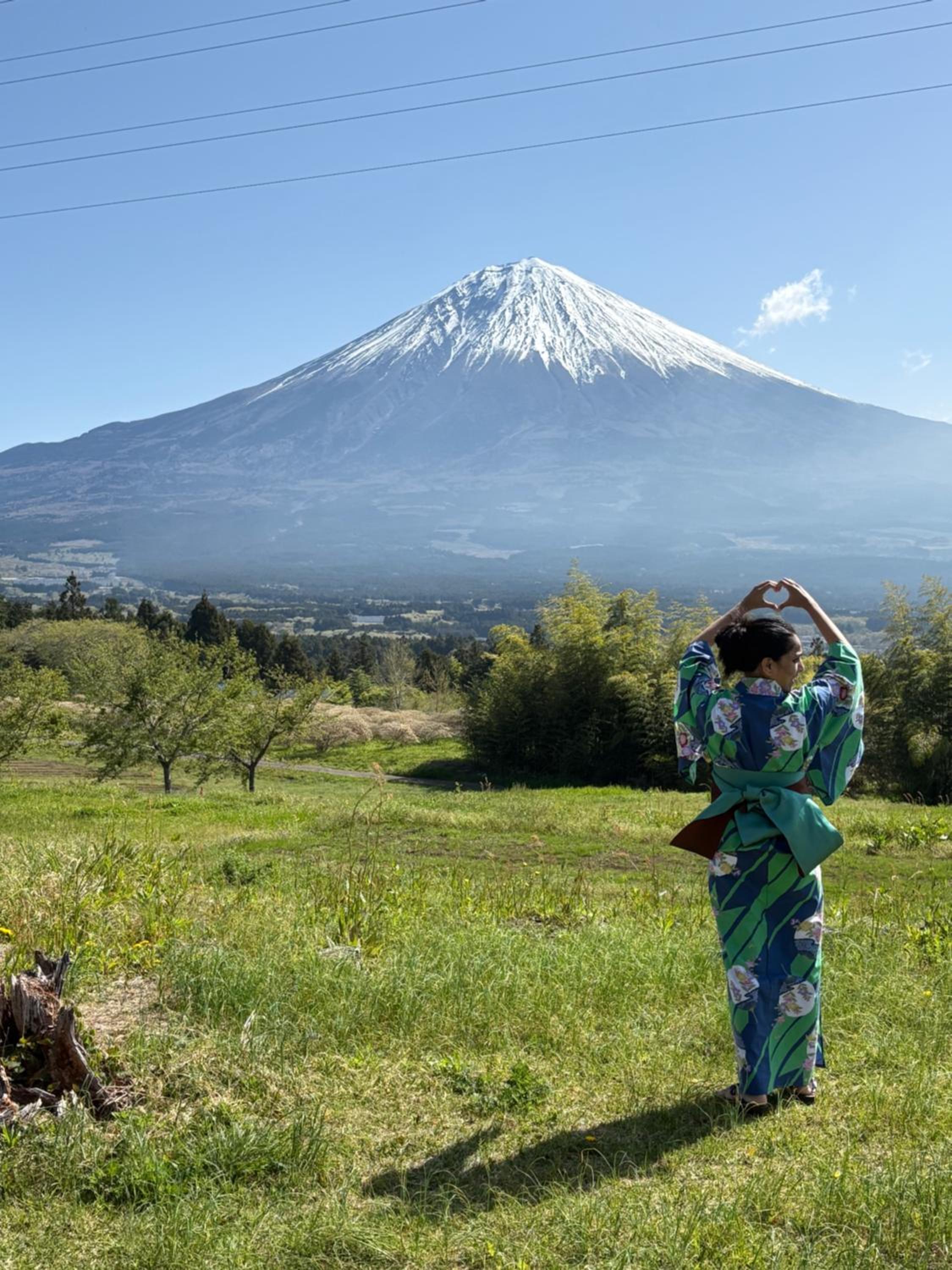 Shiraito Garden A Private Retreat Near Shiraito Falls with Mt Fuji Views