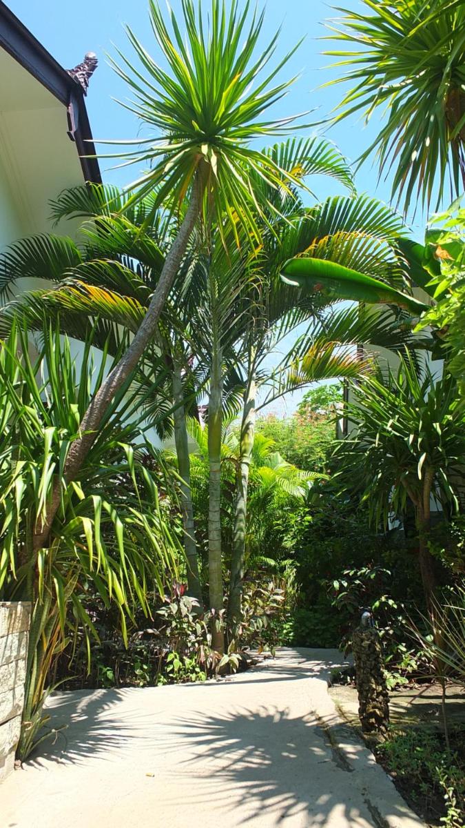 Photo 44