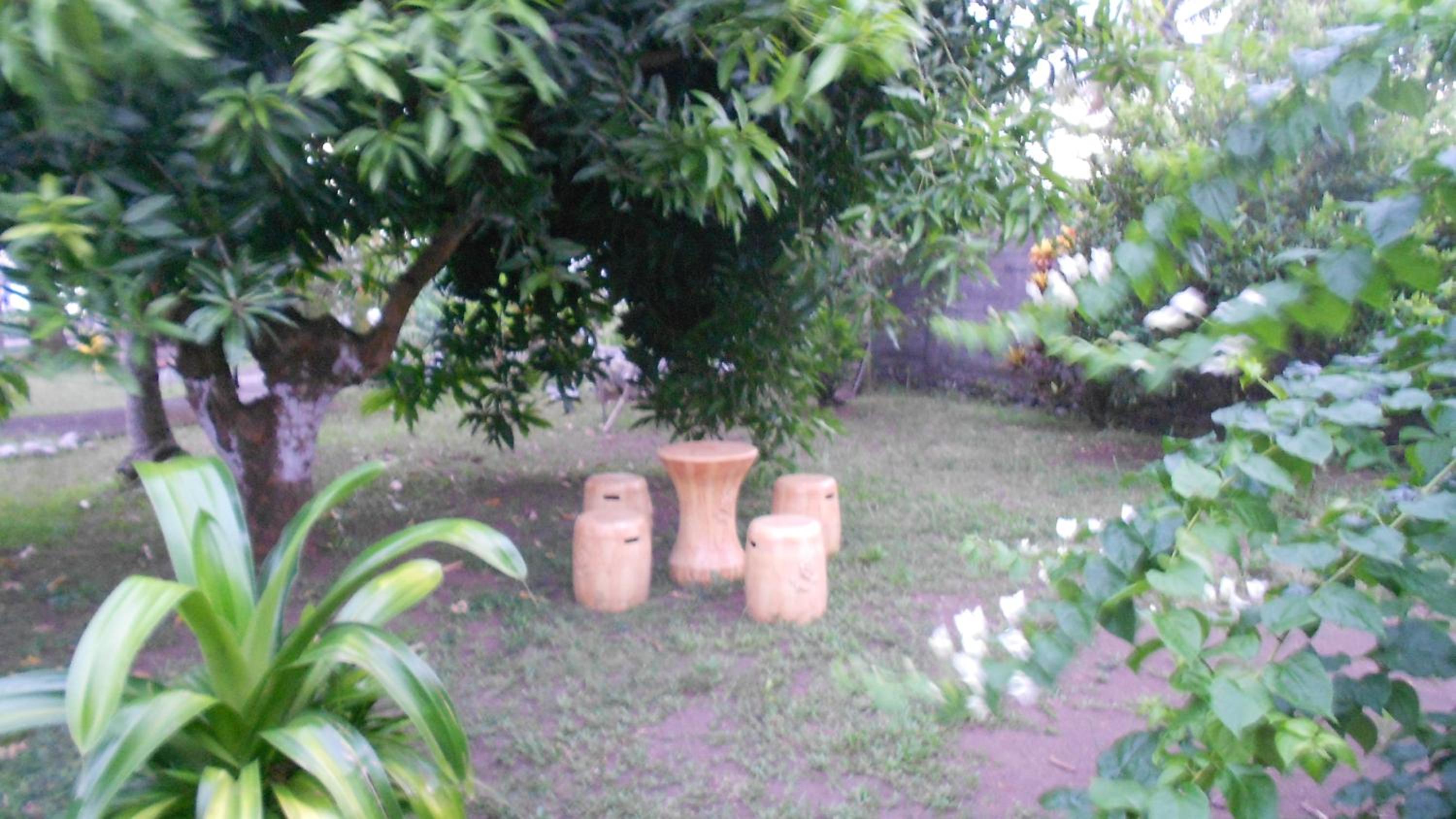 Photo 45