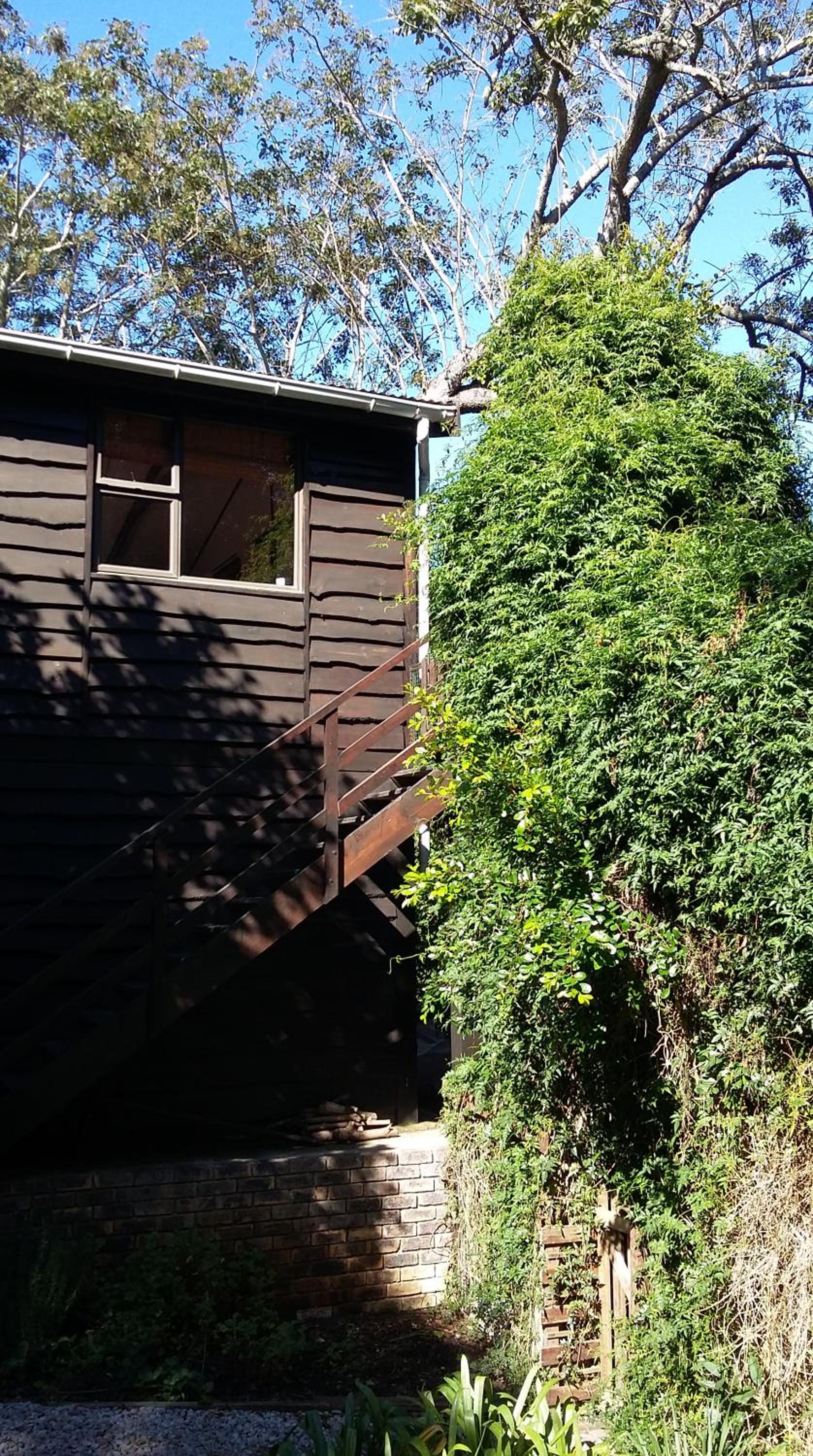 Treehouse Cottage