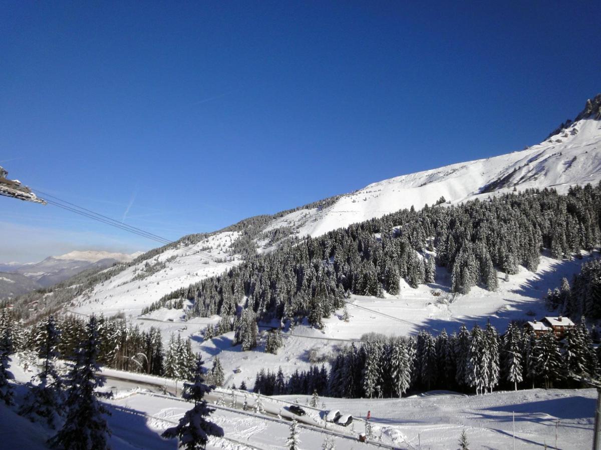 Photo 44