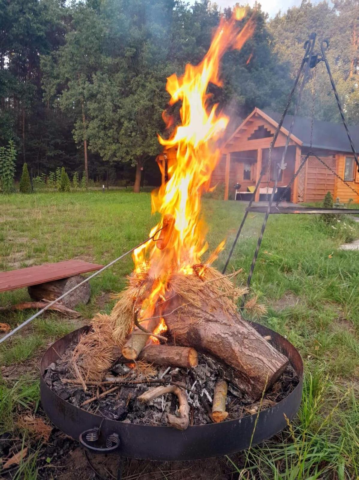 Photo 5