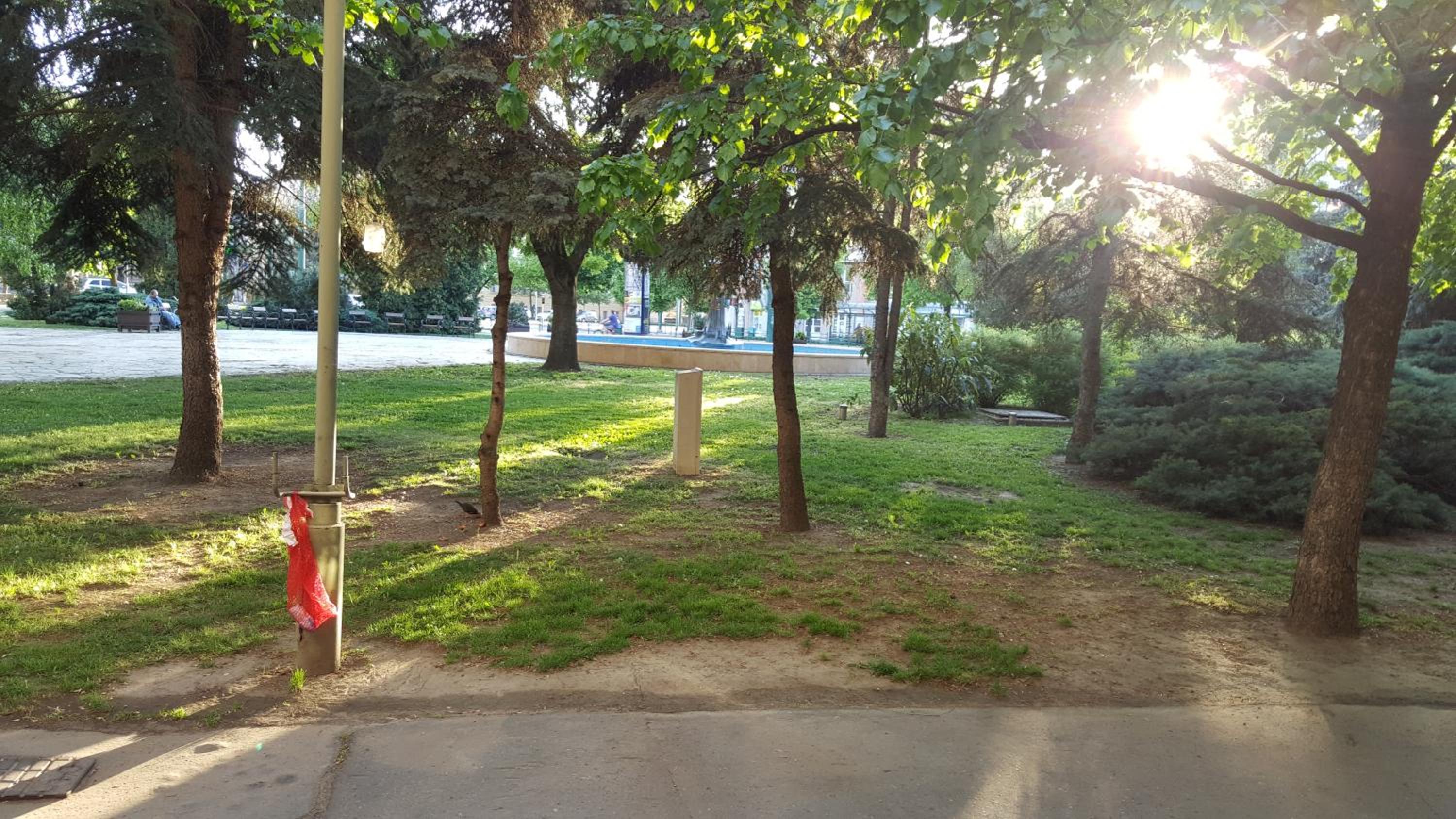 Photo 37