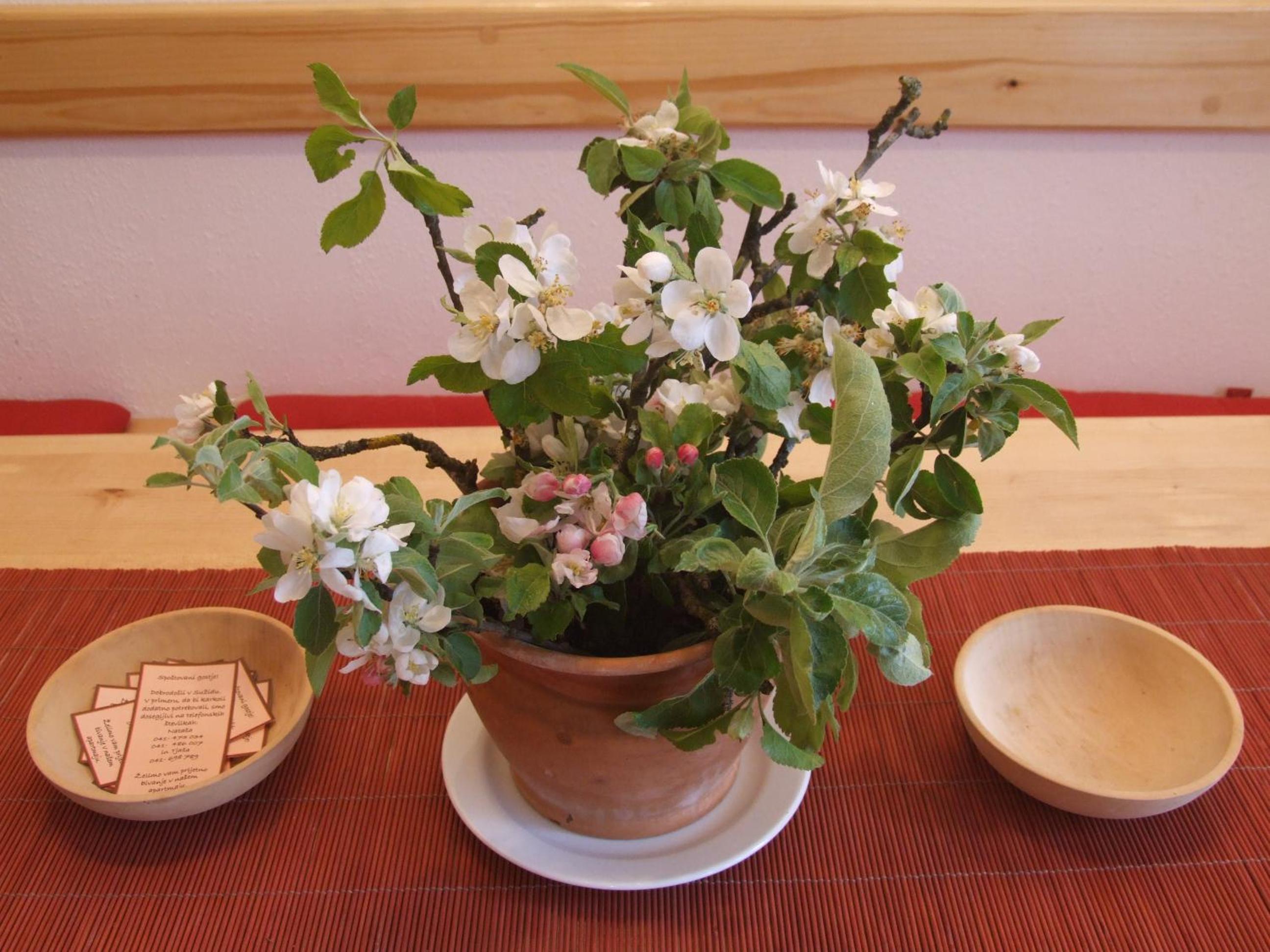 Apartment Mlinarjeva domačija