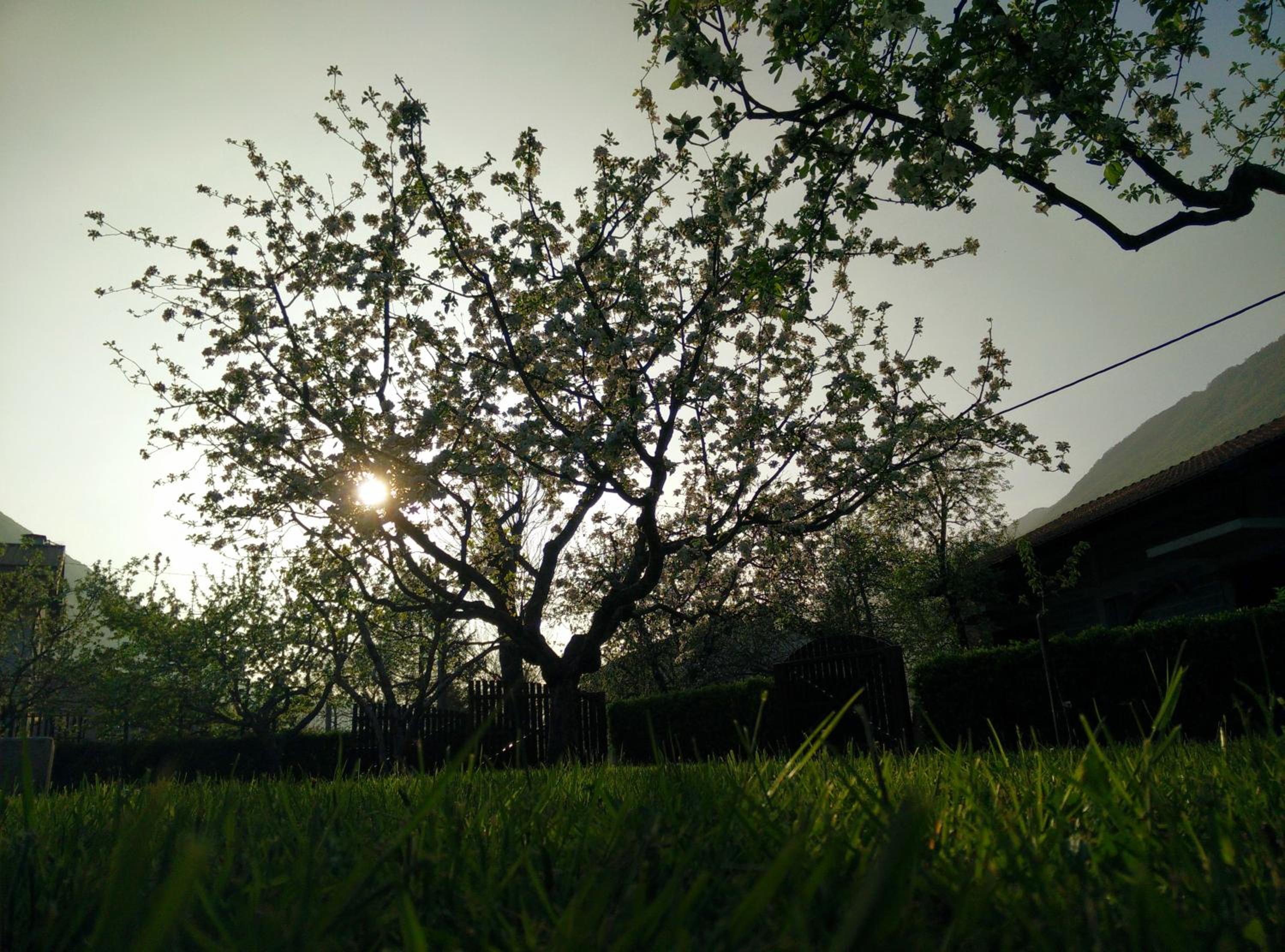 Photo 22