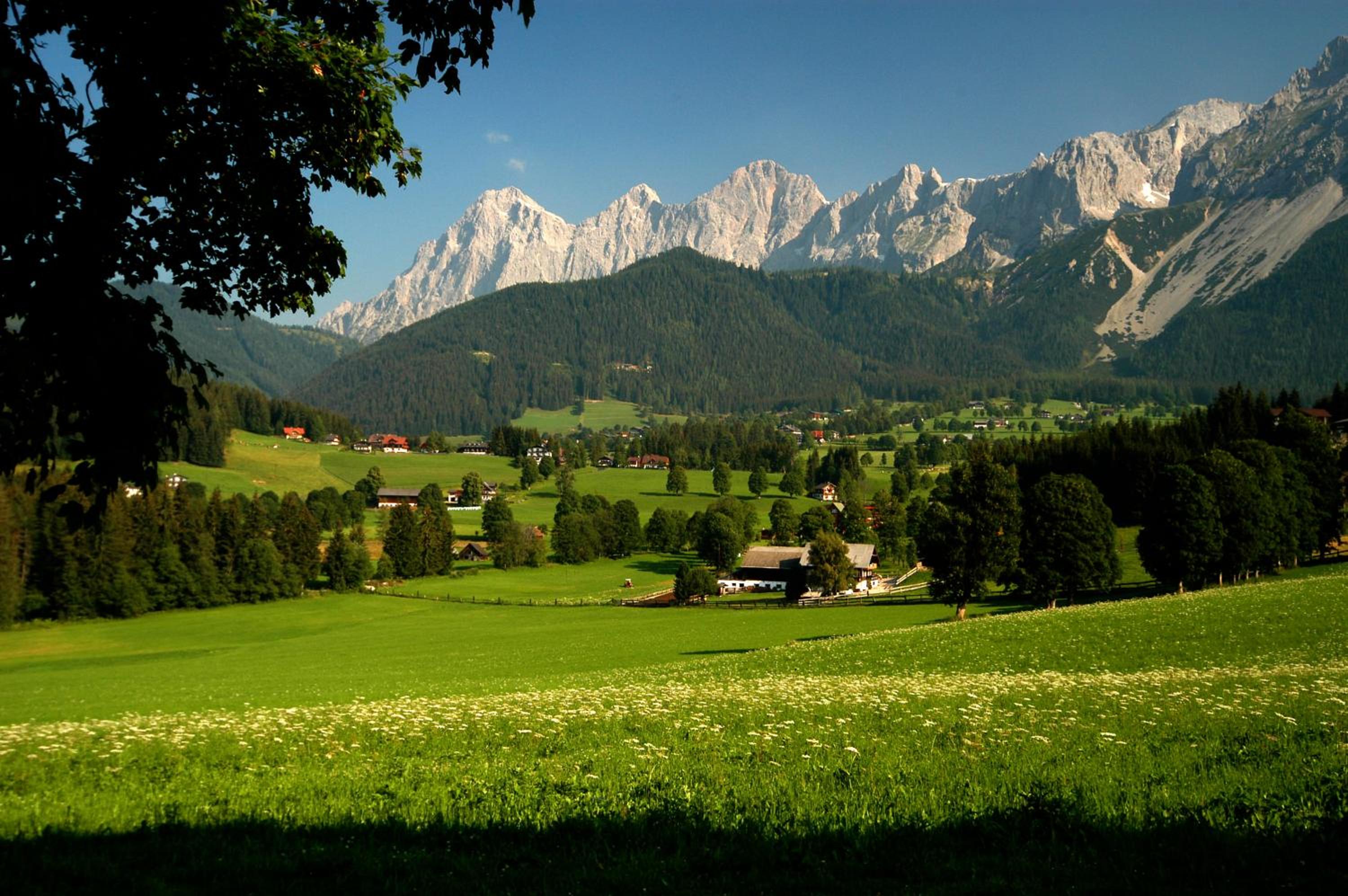 MEINE HEIMAT - Apartments in Ramsau am Dachstein - inklusive SOMMERCARD