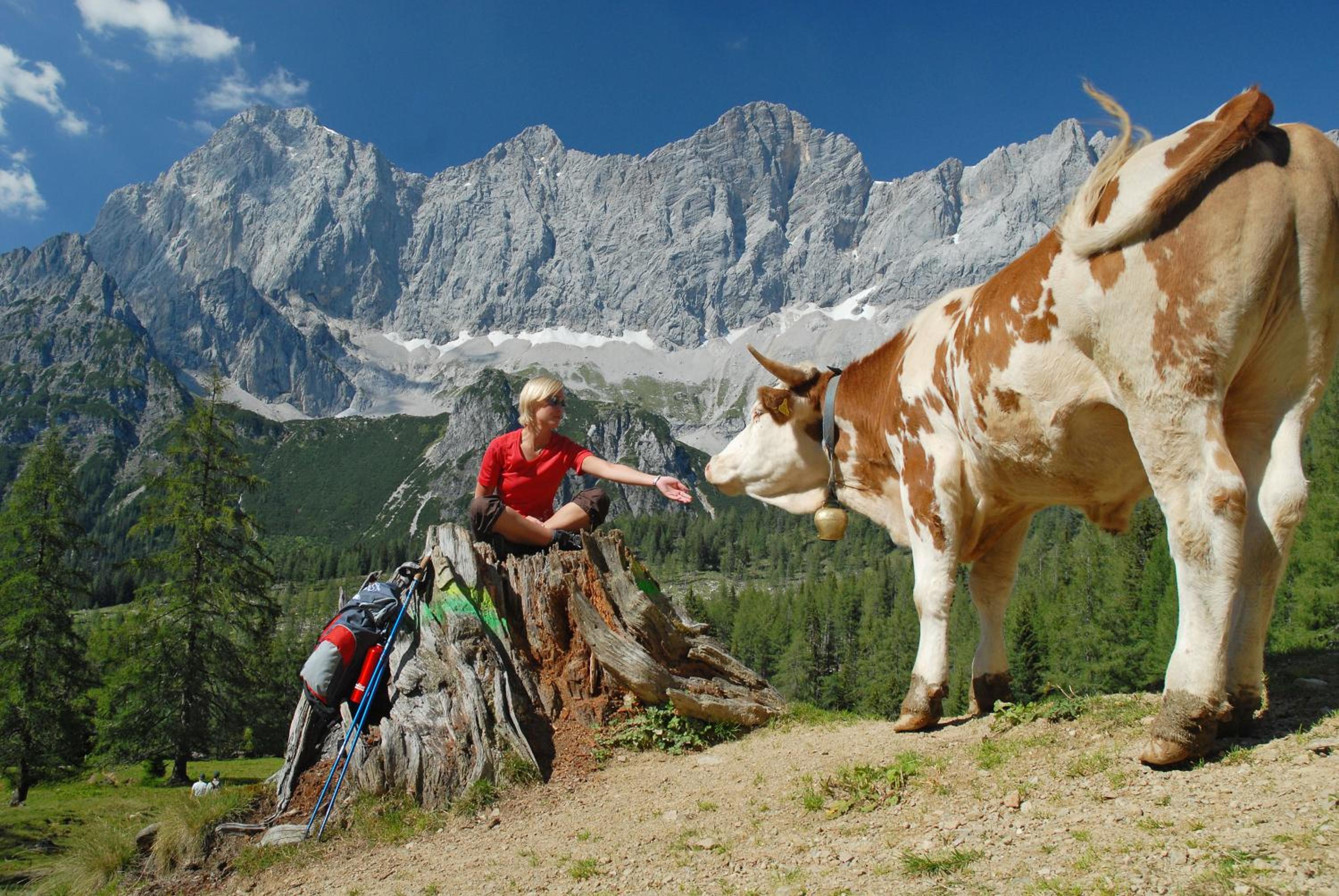 MEINE HEIMAT - Apartments in Ramsau am Dachstein - inklusive SOMMERCARD