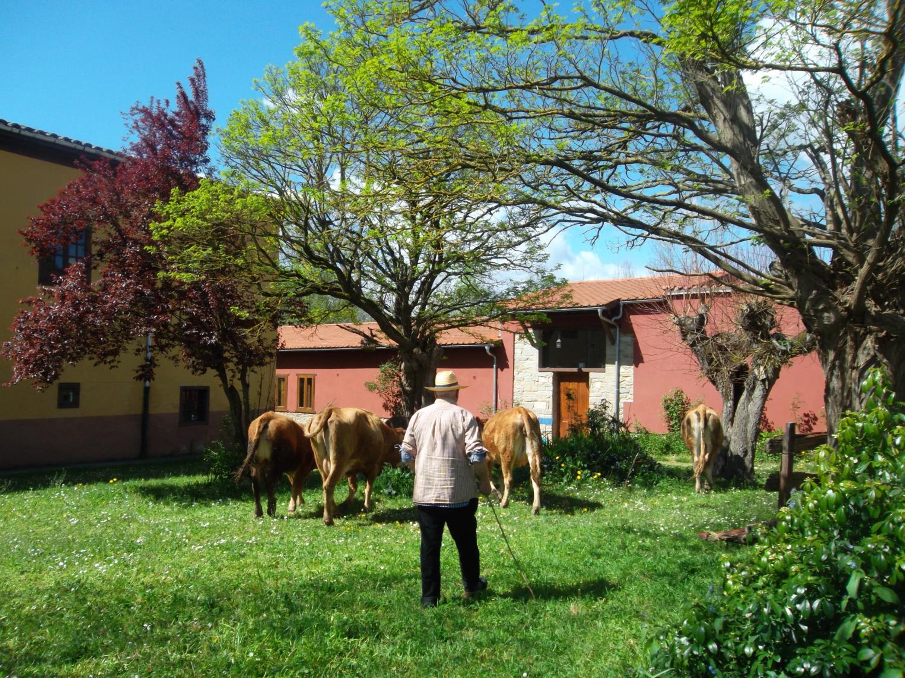 Molinos de Antero