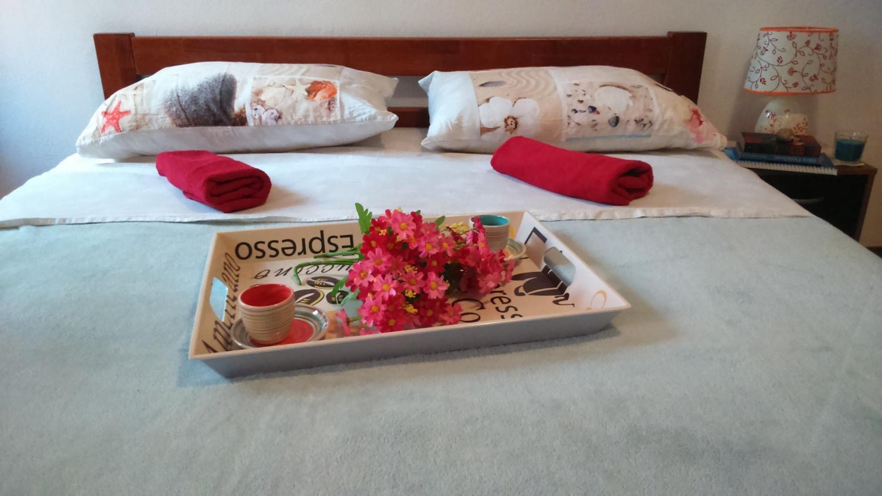 Apartment Vladka