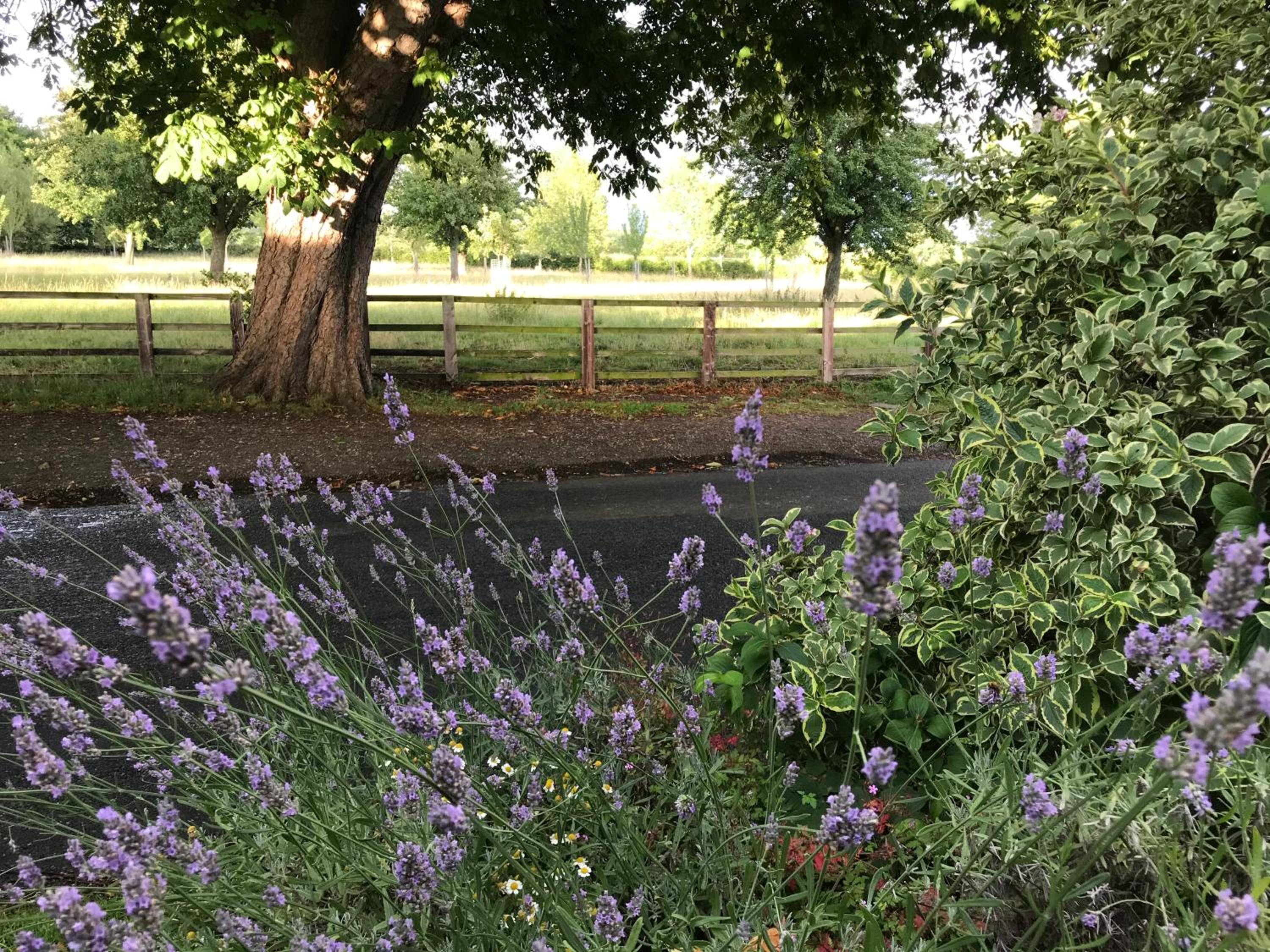 Apartment above Samantha Dadd Art Studio - in the Cotswolds