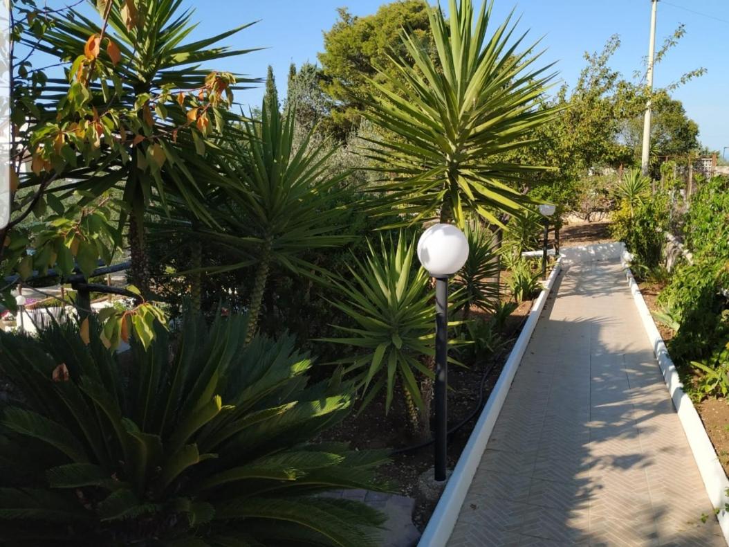 Photo 22