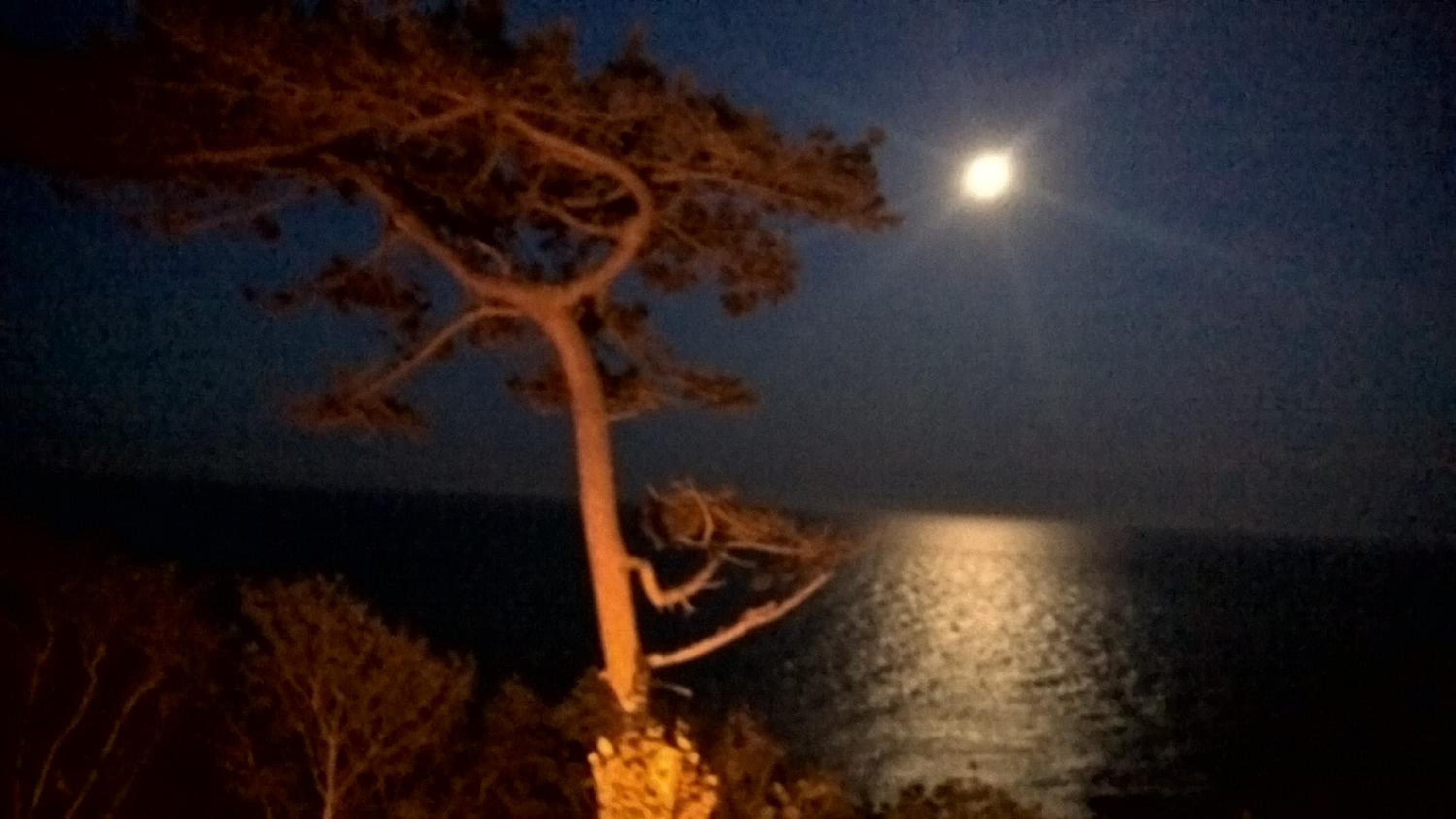 Folkestone Vacations - The Southcliff Hotel - Property Image 5