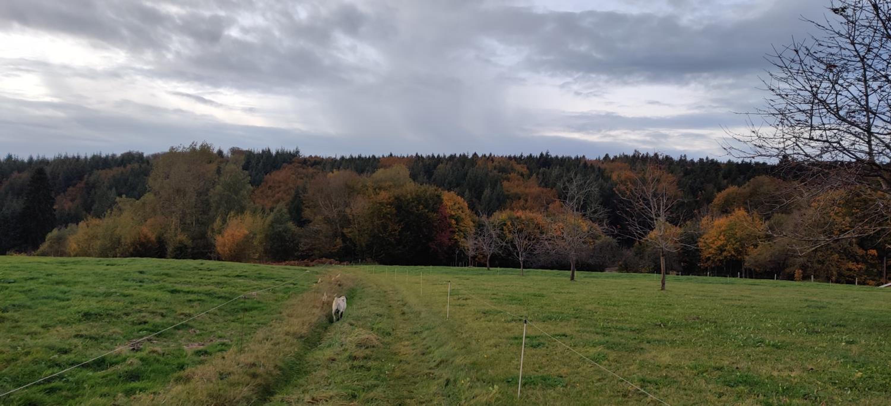 Appartemt Indépendant- Paysage Verdoyant- Piscine