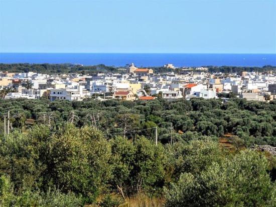 Casantina