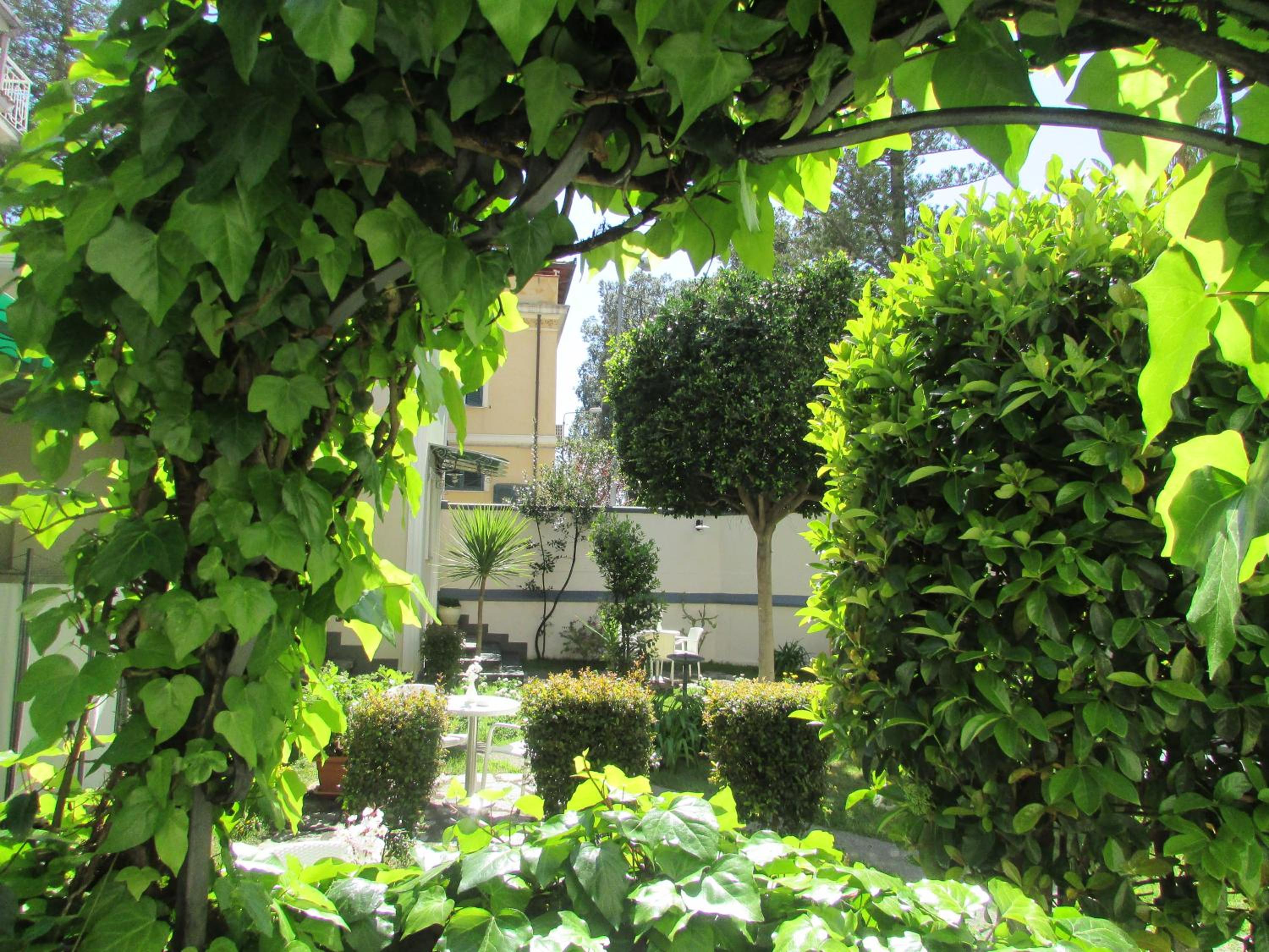 Photo 48