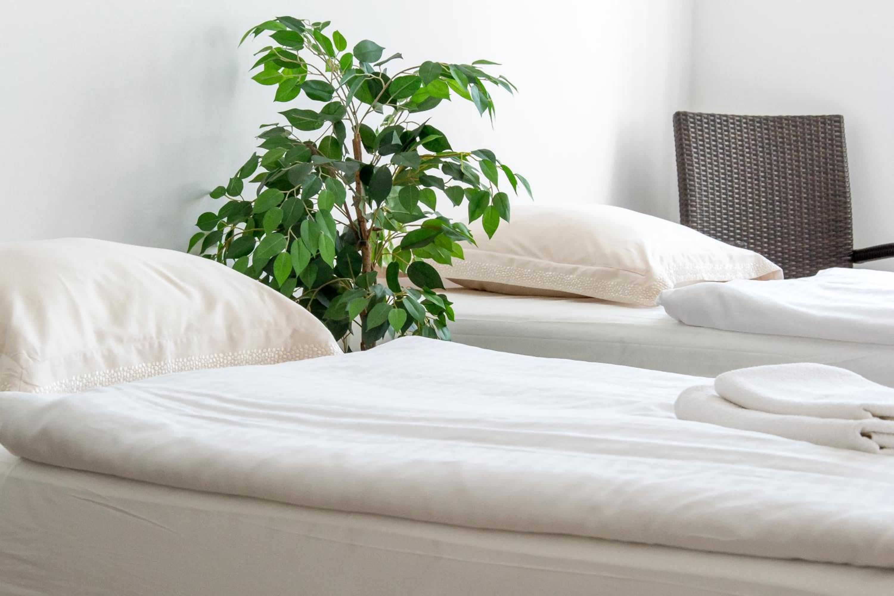 Apartmány Hradební