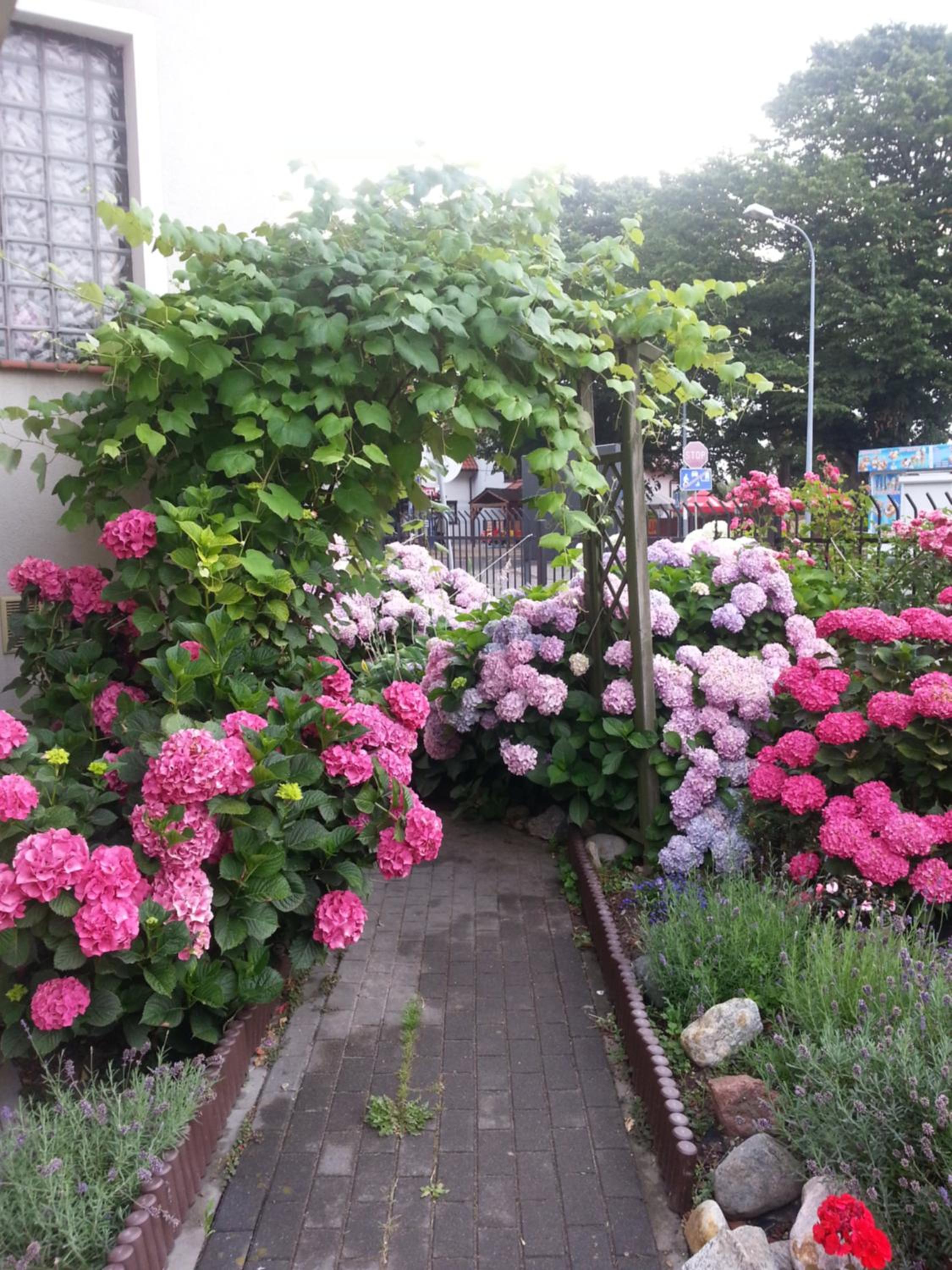 Szafranówka, photo 98