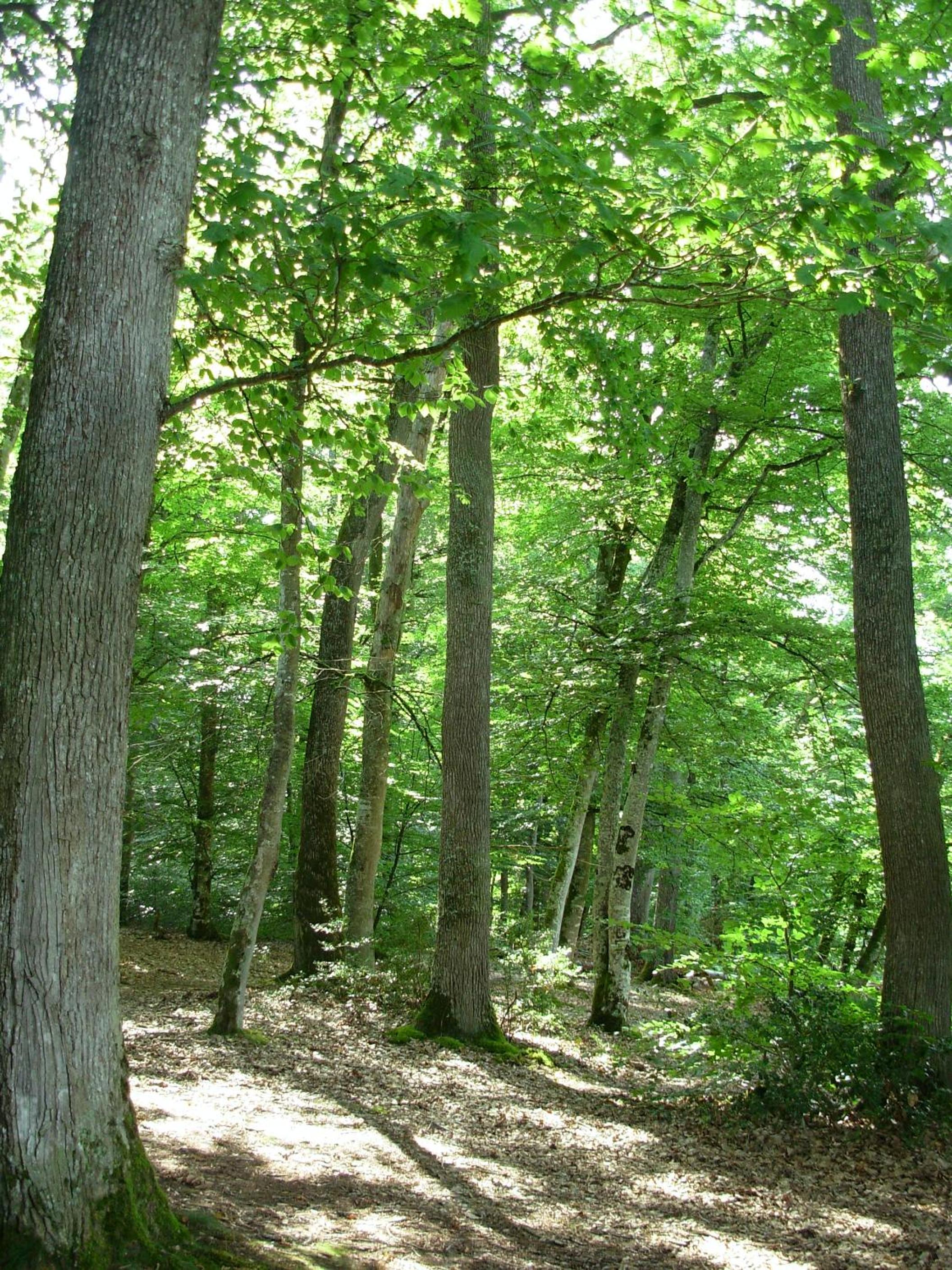 Photo 13