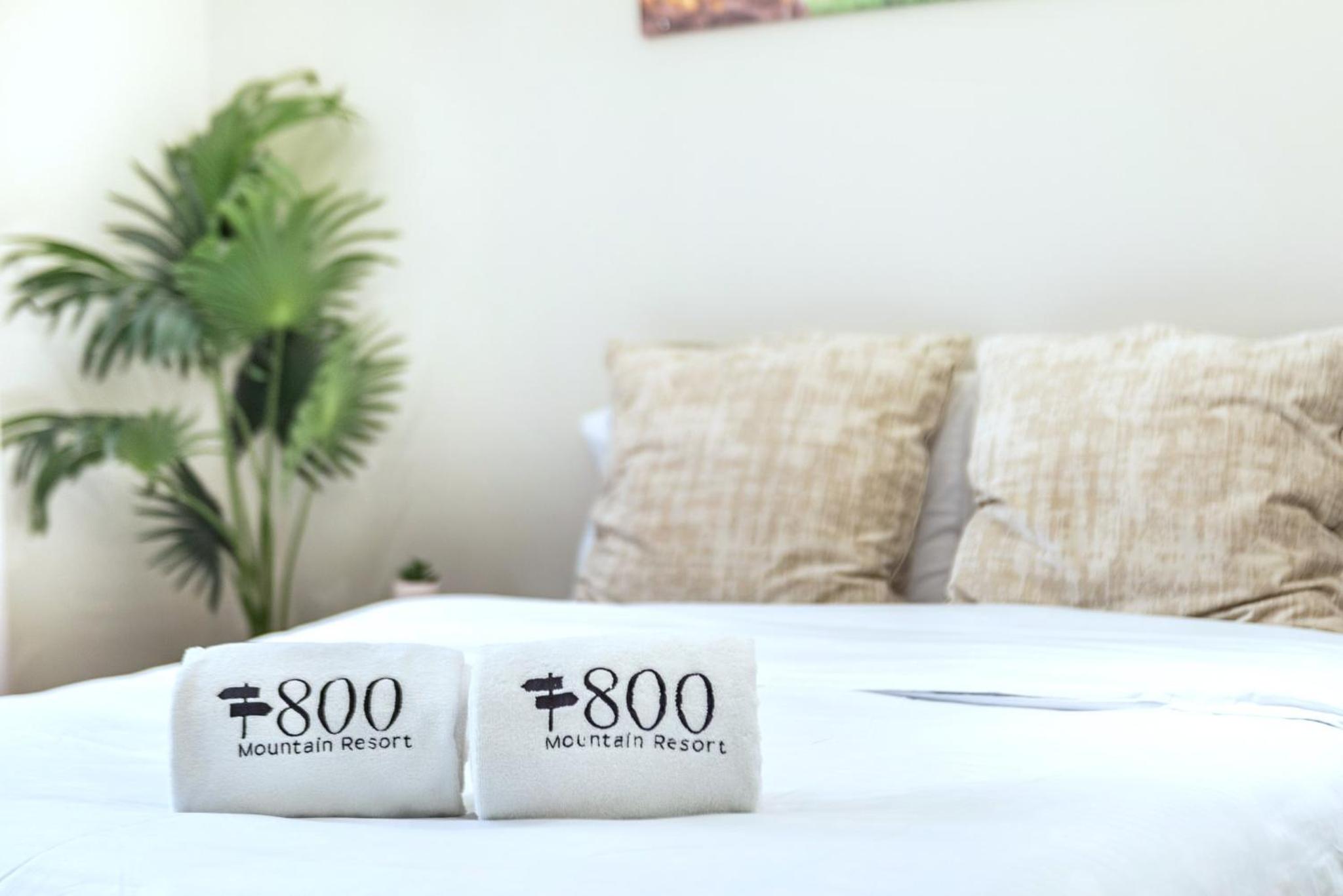 800 Mountains view, photo 9