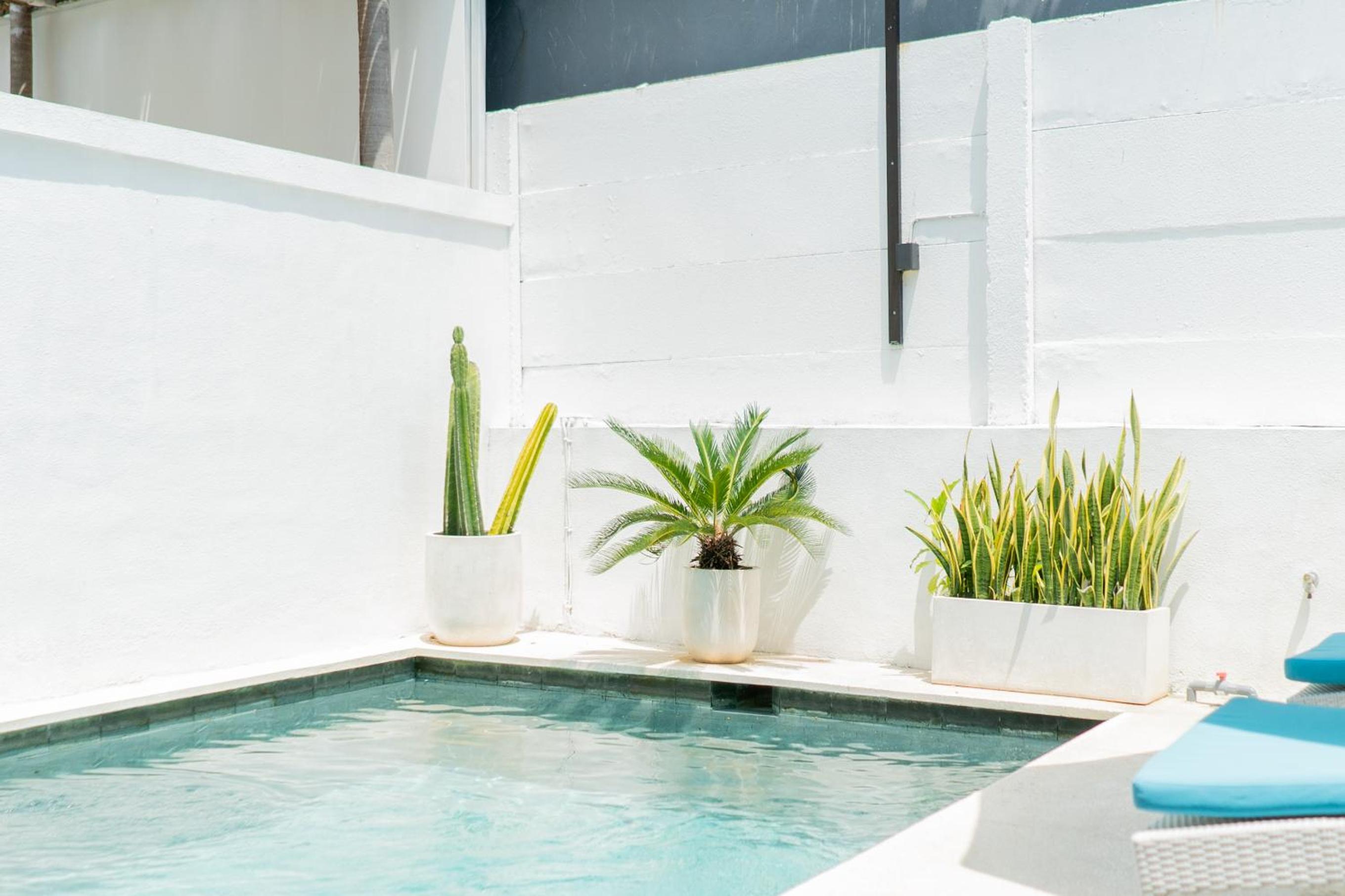 Villa Pusterla - 1BR Villa in Canggu