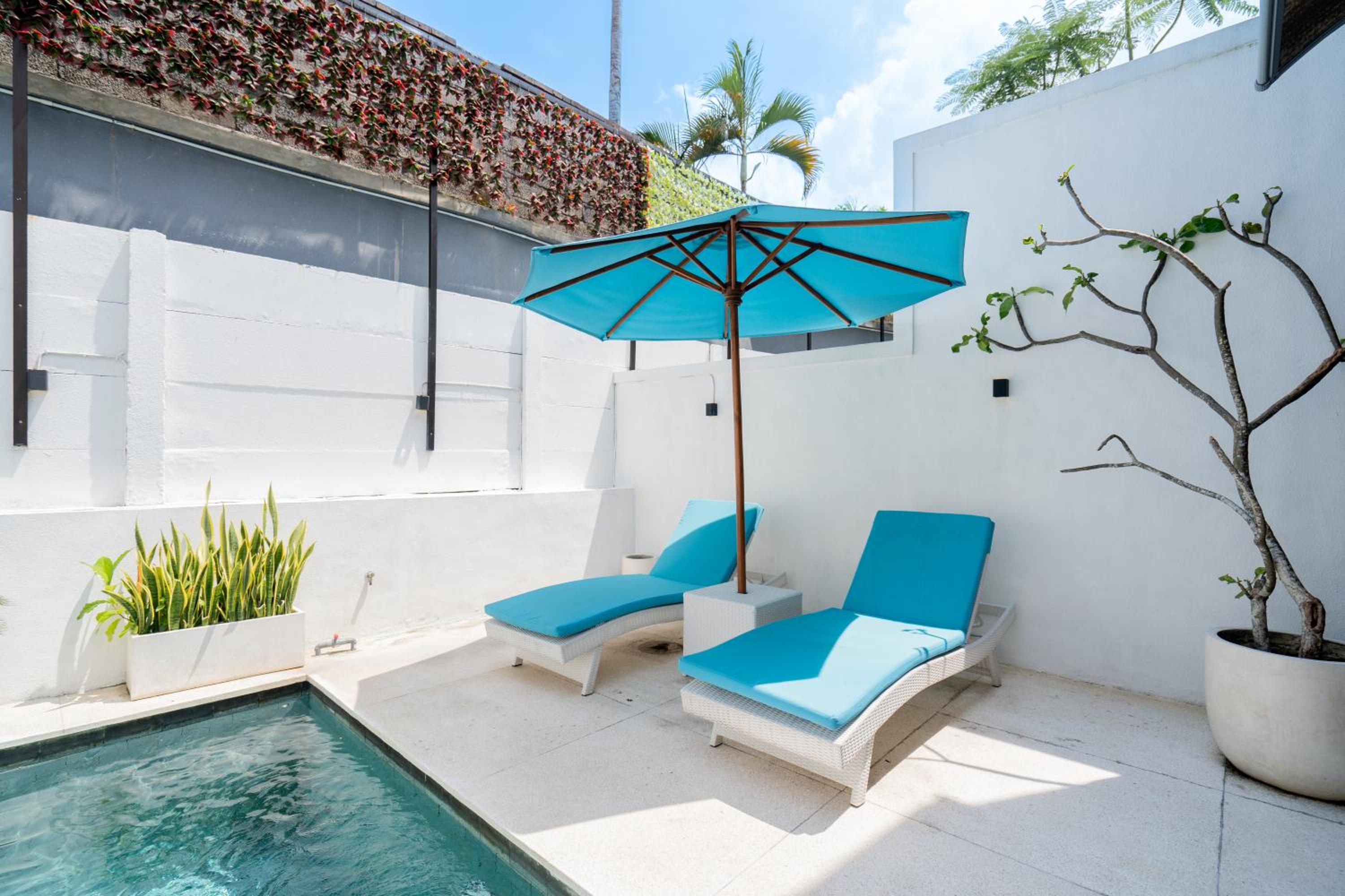 Villa Pusterla - 1BR Villa in Canggu
