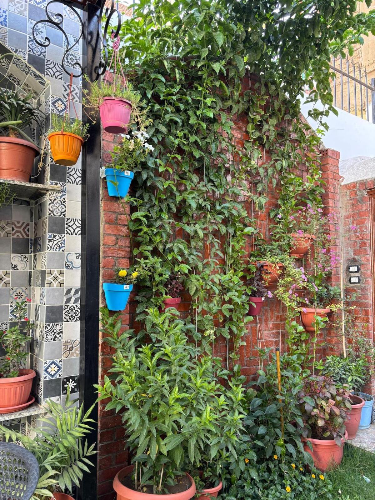 Lilys Garden Guest House