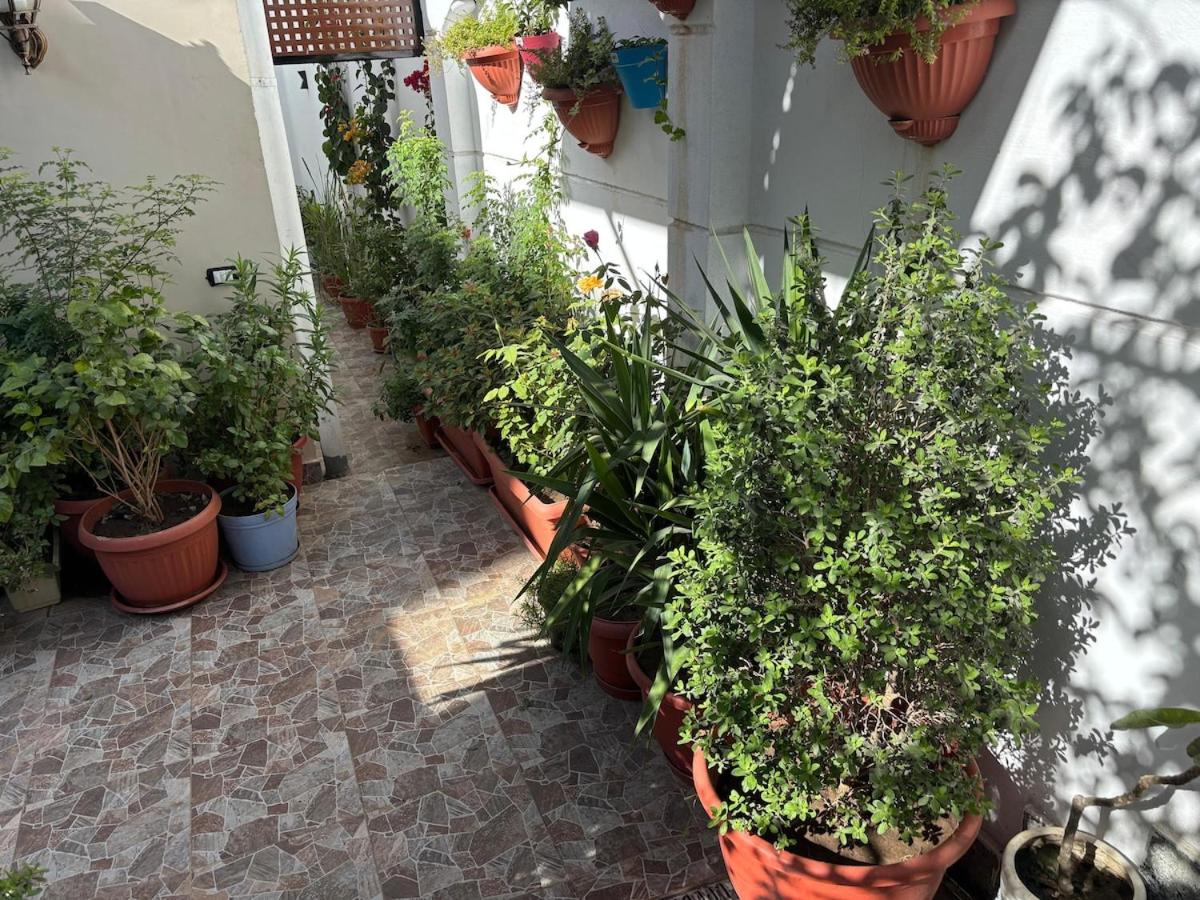 Lilys Garden Guest House