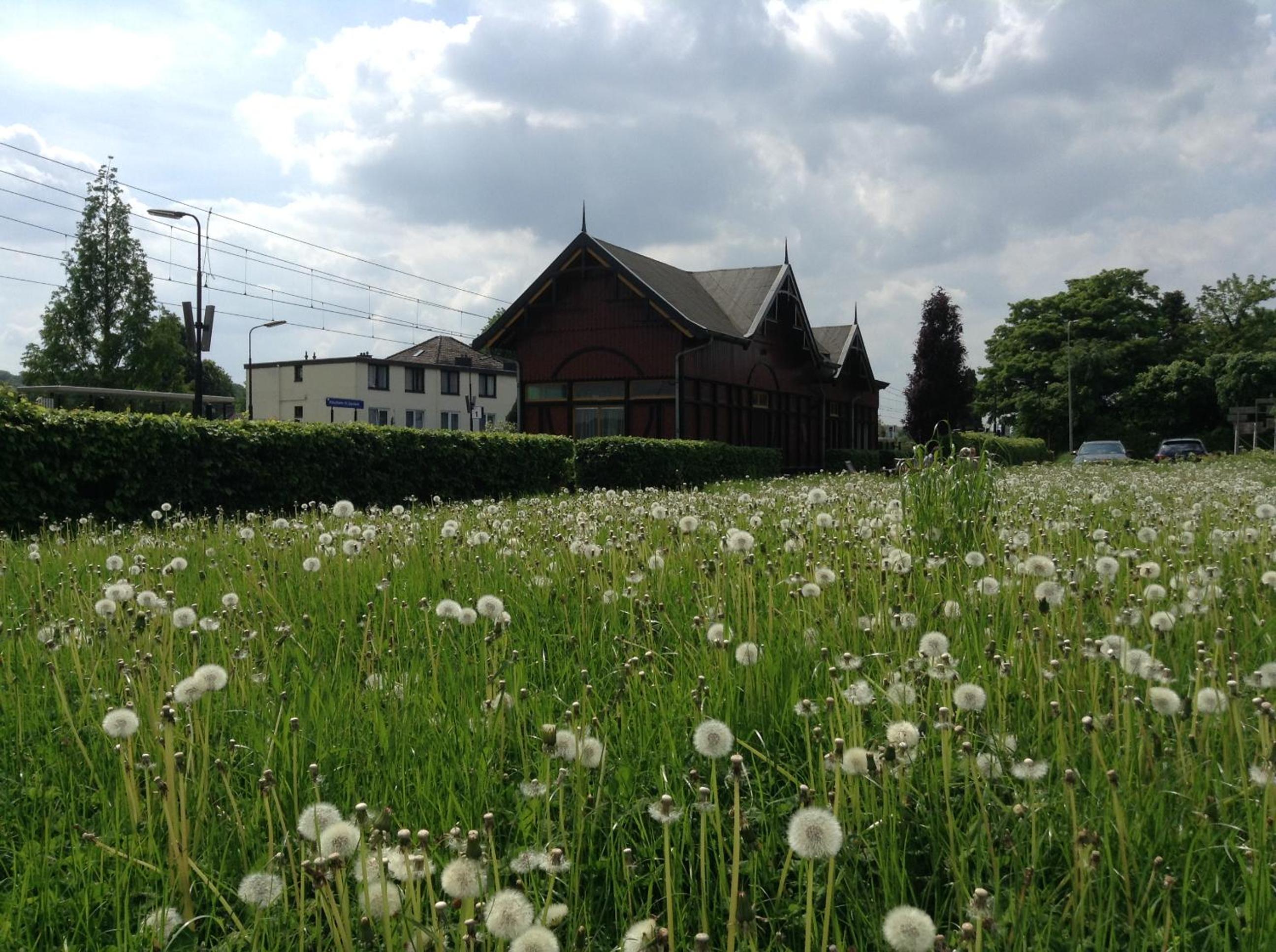 Photo 21