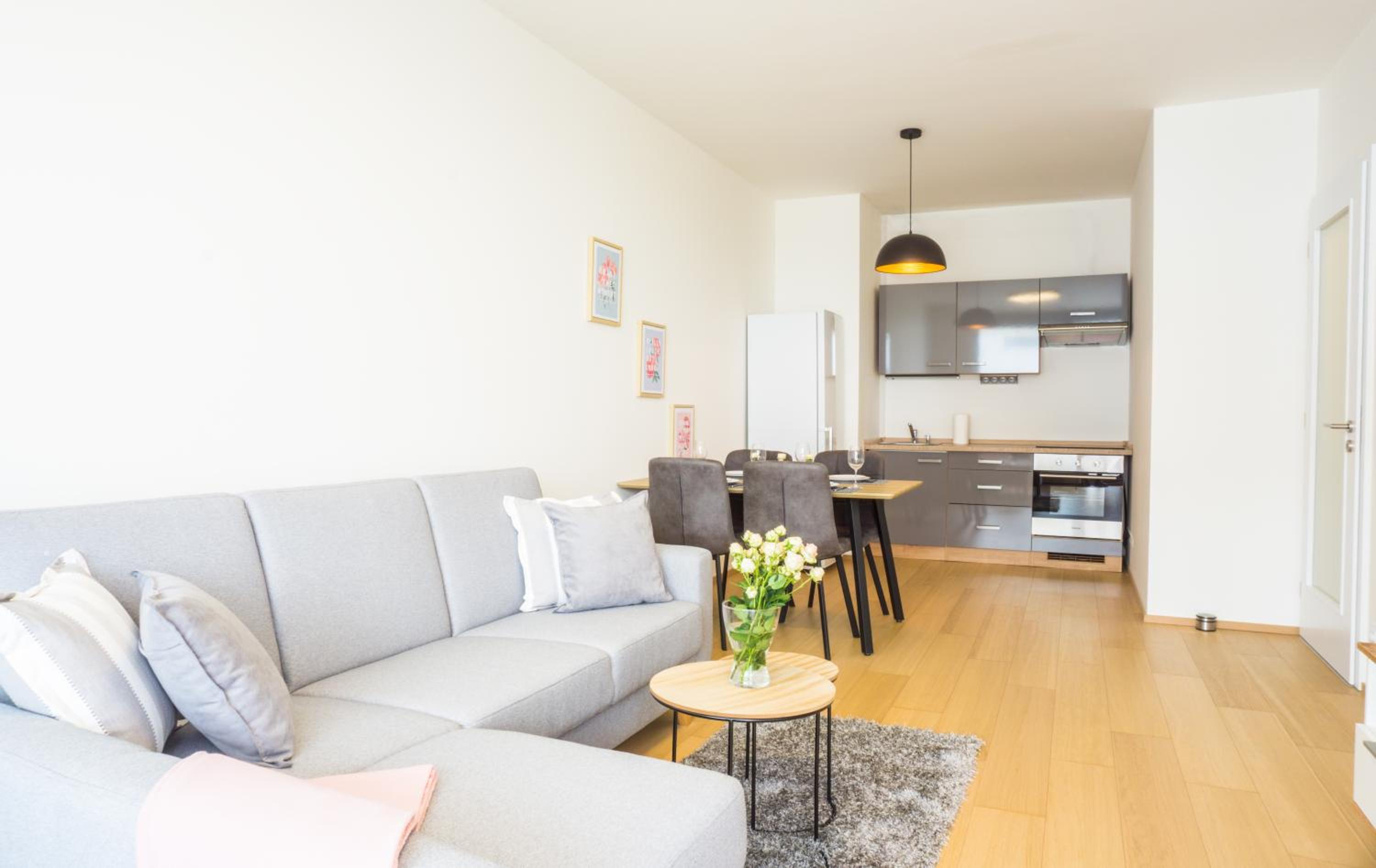 Waltrovka One bed room apartment