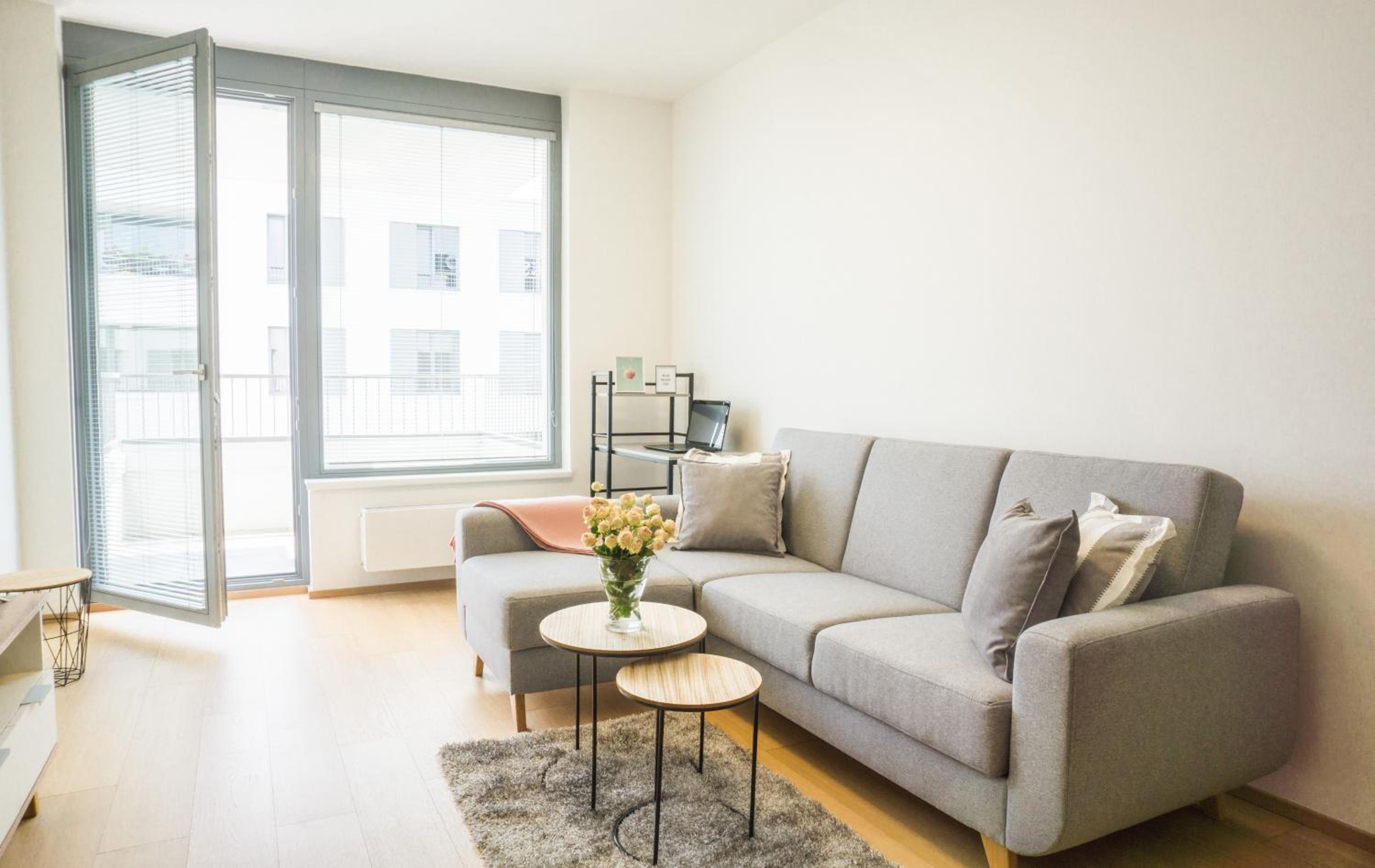Waltrovka One bed room apartment