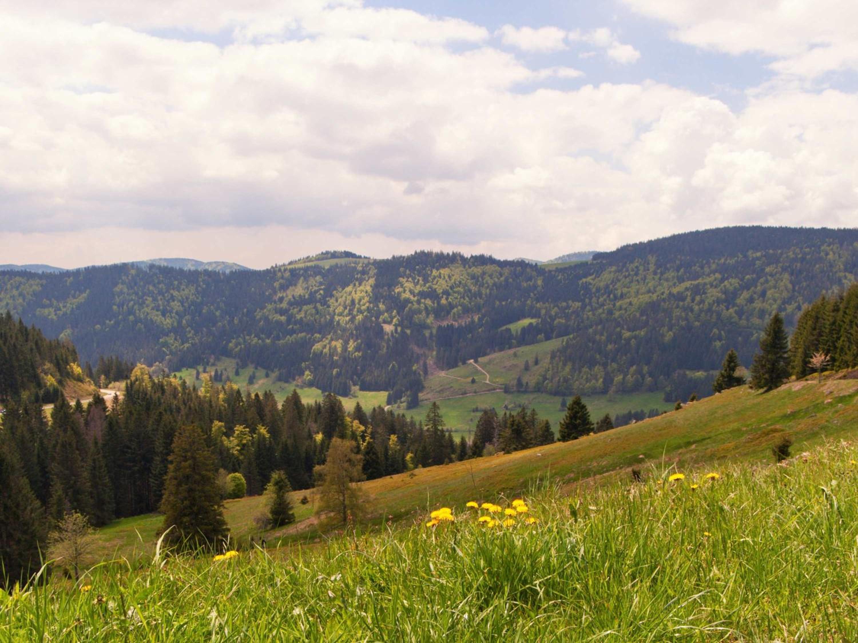 RelaxApartment Massagesessel, Küche, Balkon, Natur