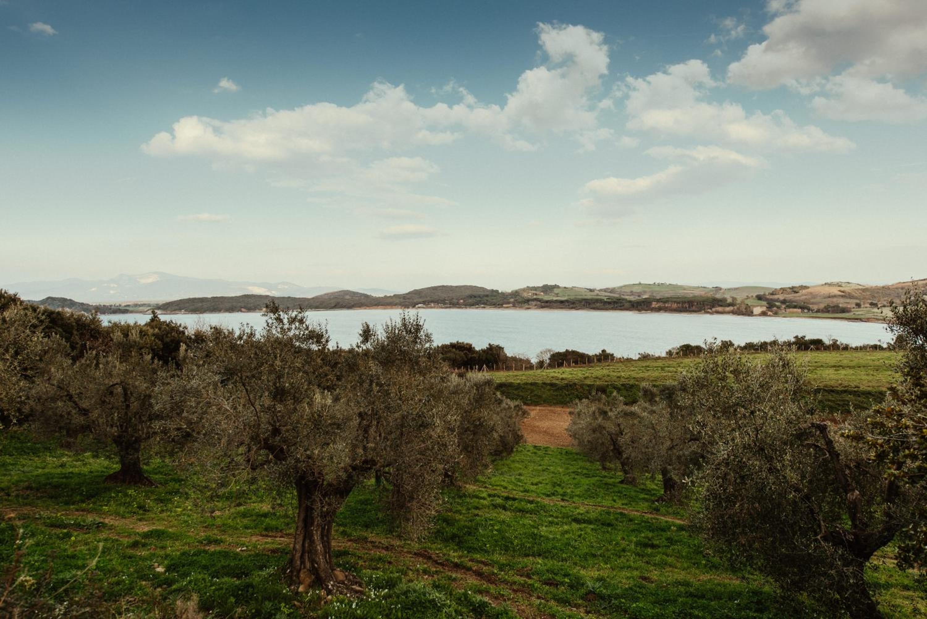 Torre di Baratti Bio Resort