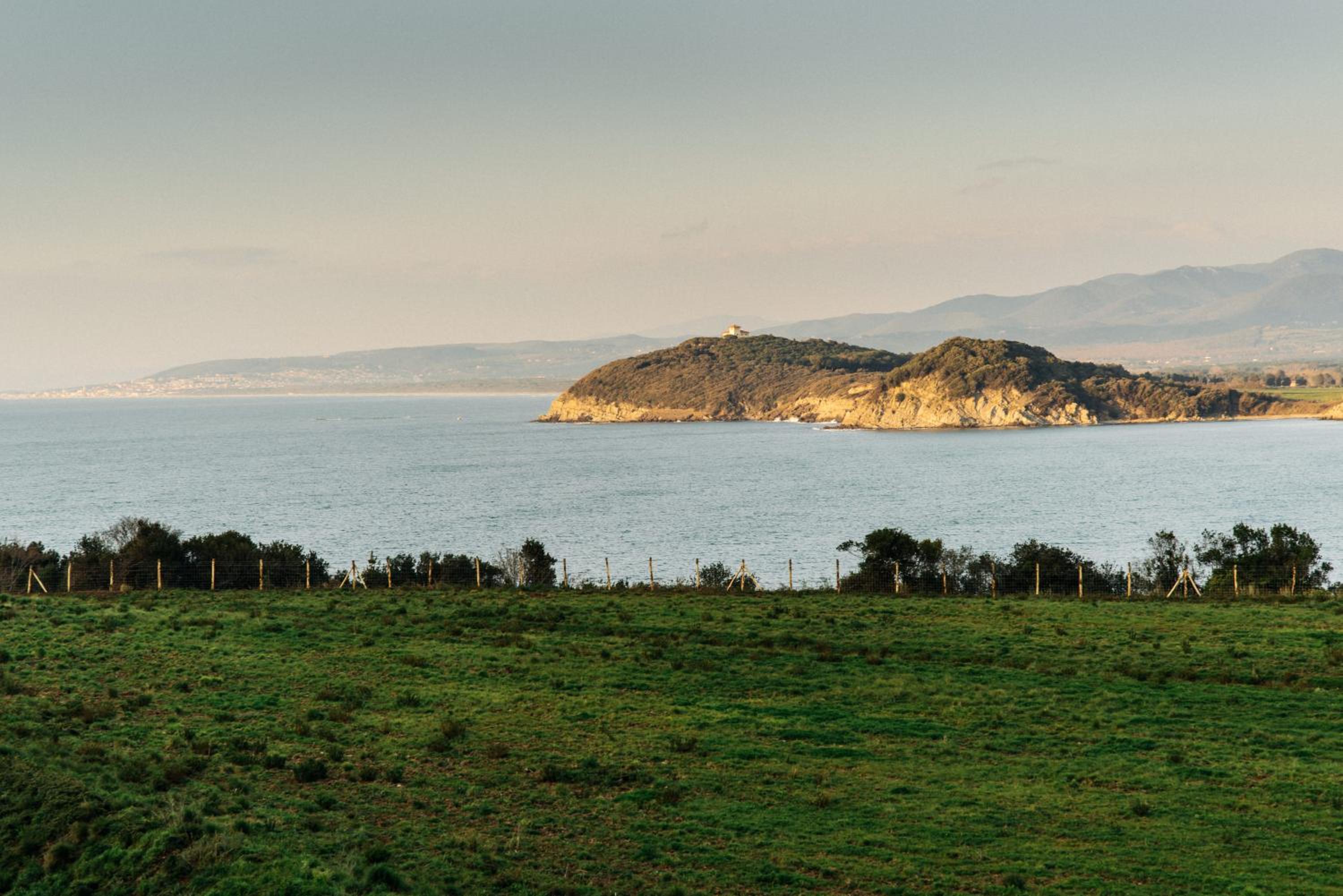Torre di Baratti Bio Resort