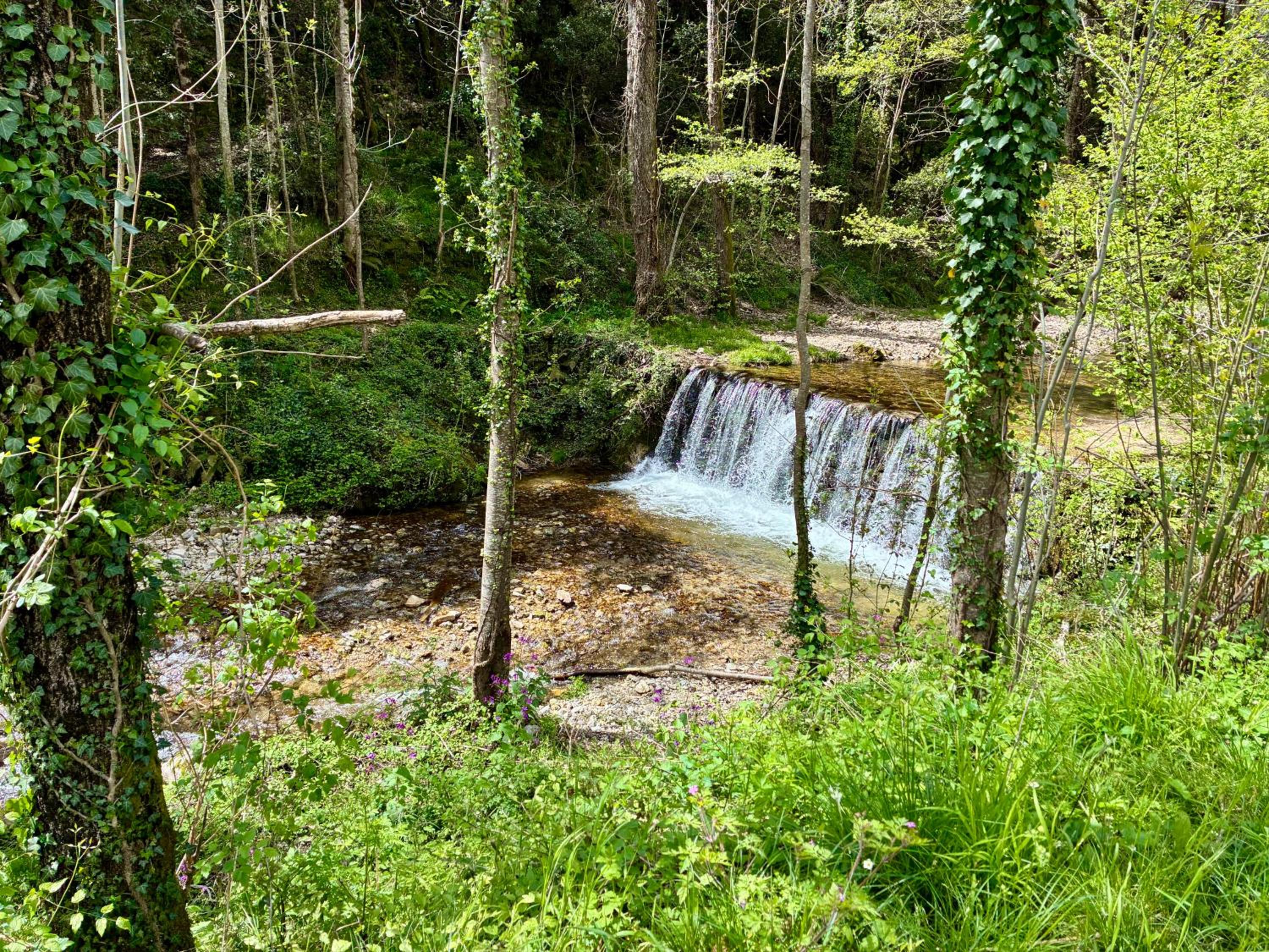 La villa Les Rosiers en Cévennes