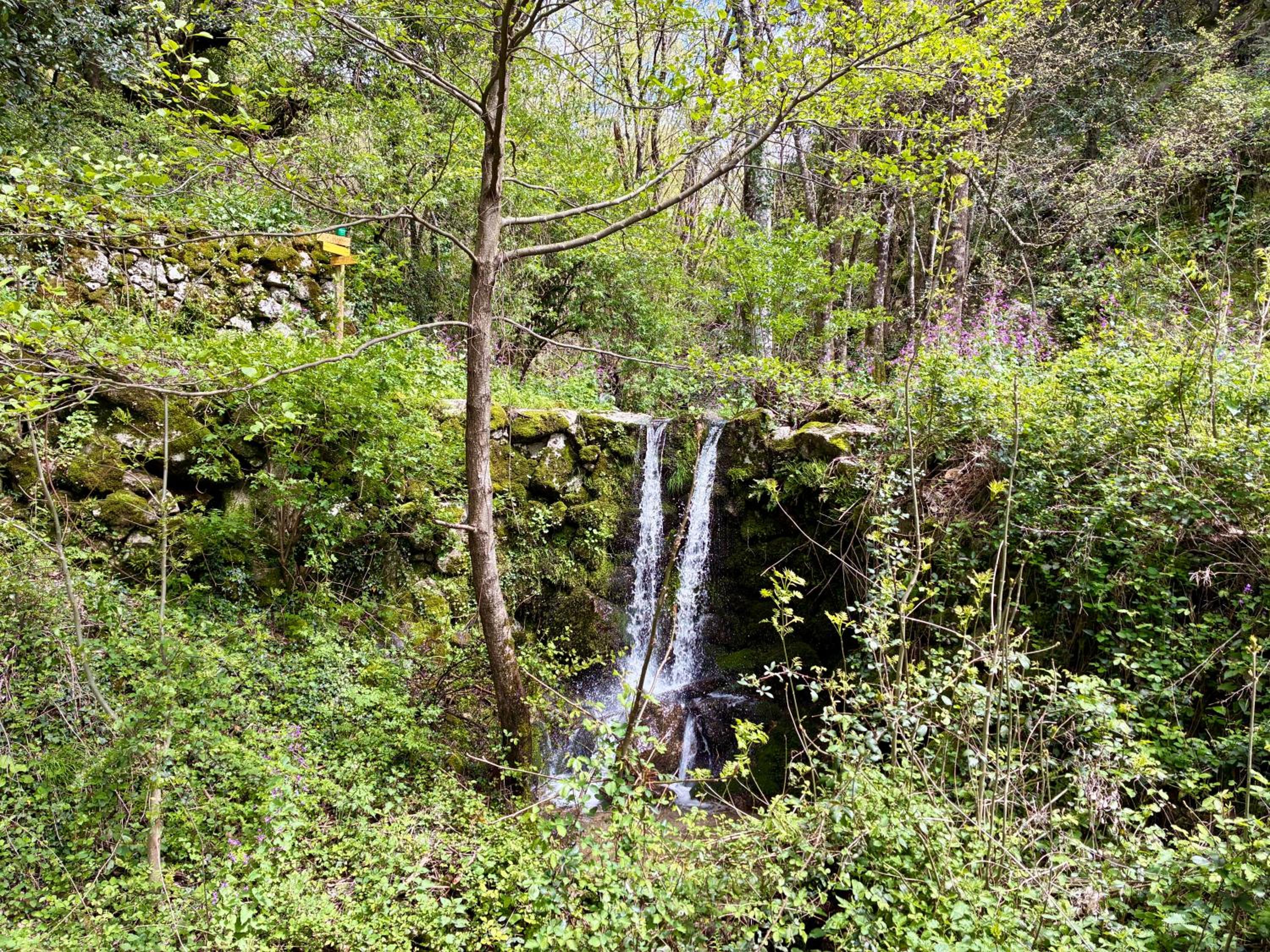 La villa Les Rosiers en Cévennes