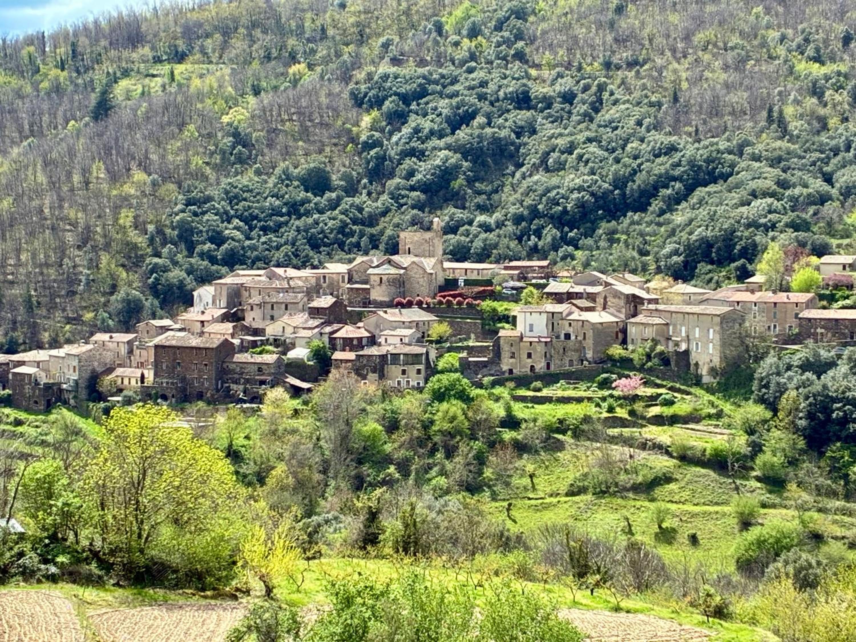 La villa Les Rosiers en Cévennes