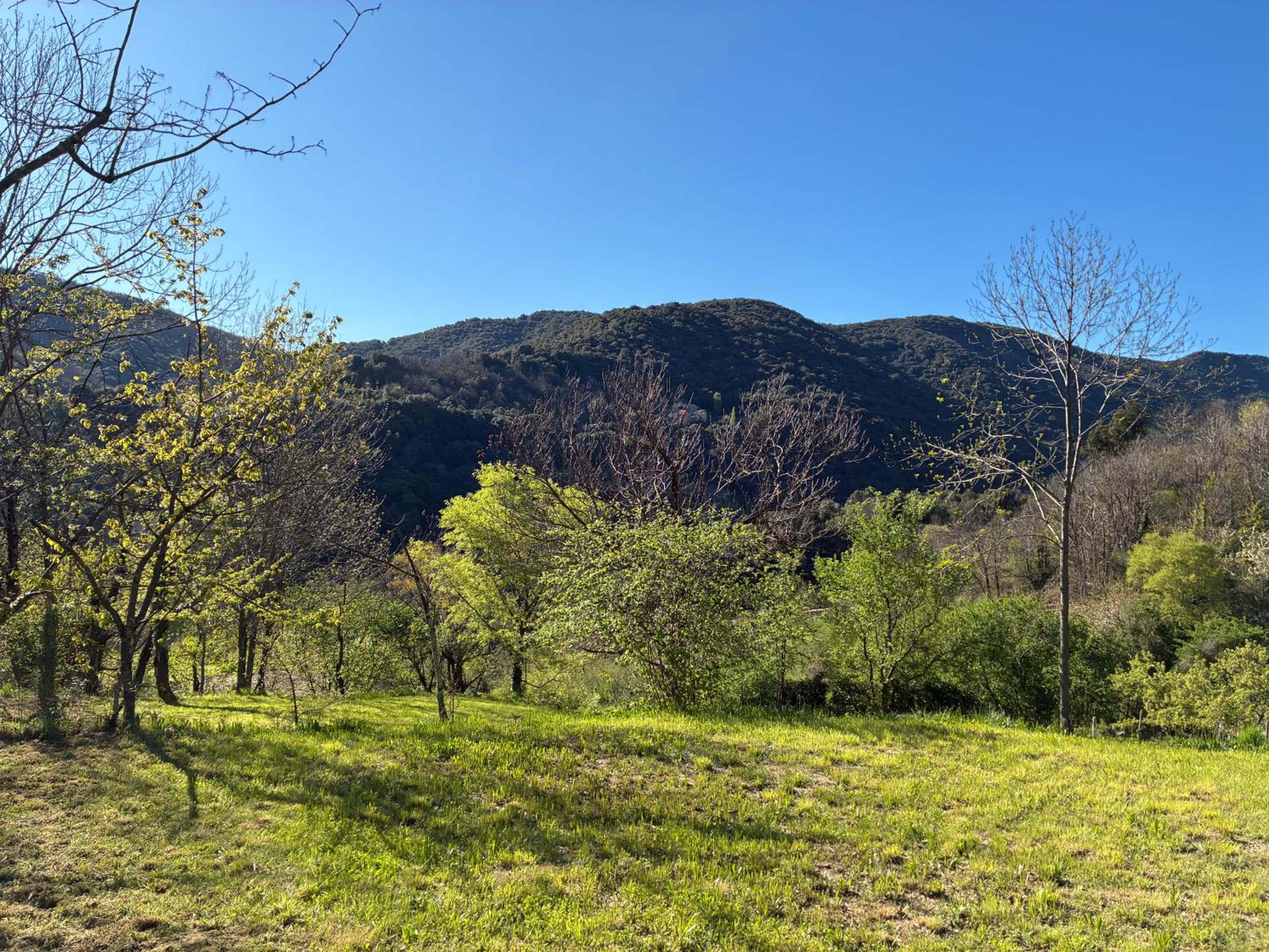 La villa Les Rosiers en Cévennes