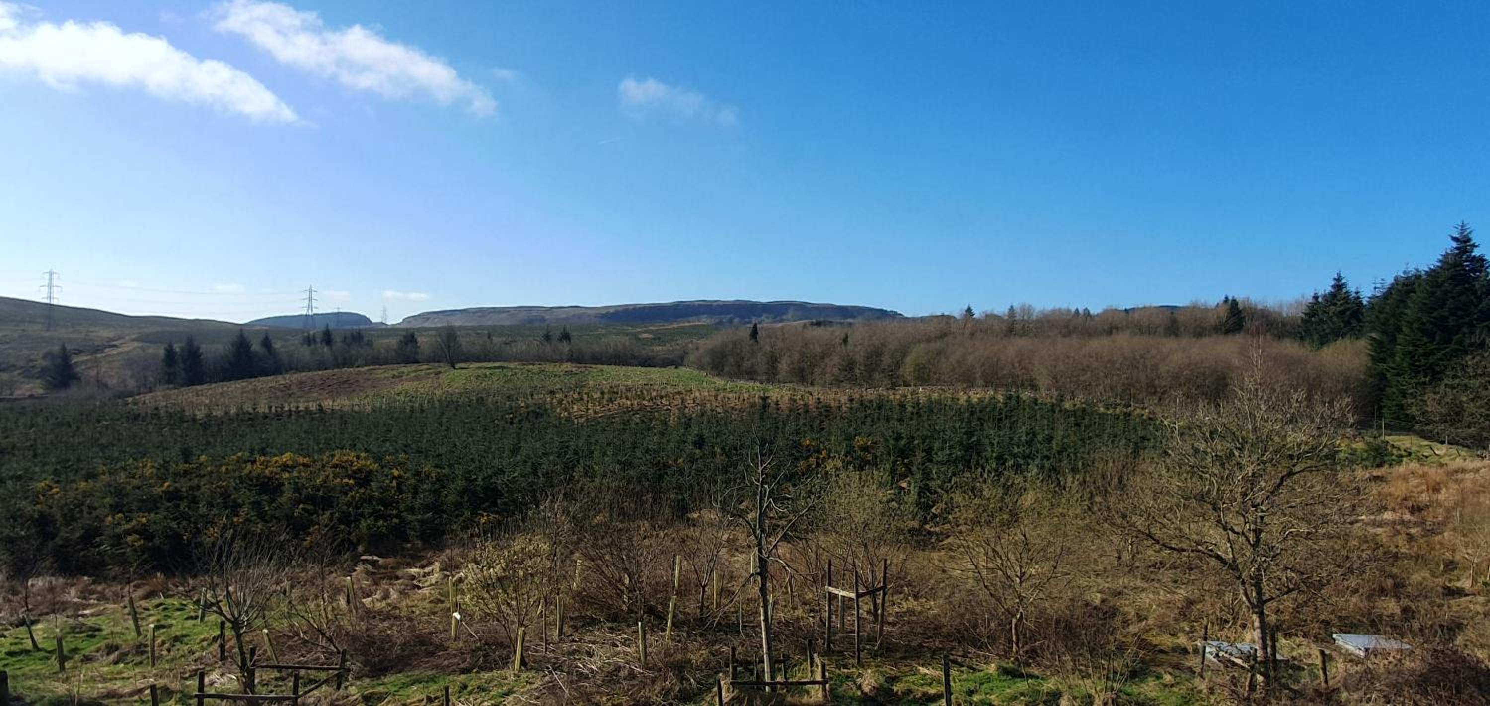 Edenmill Farm