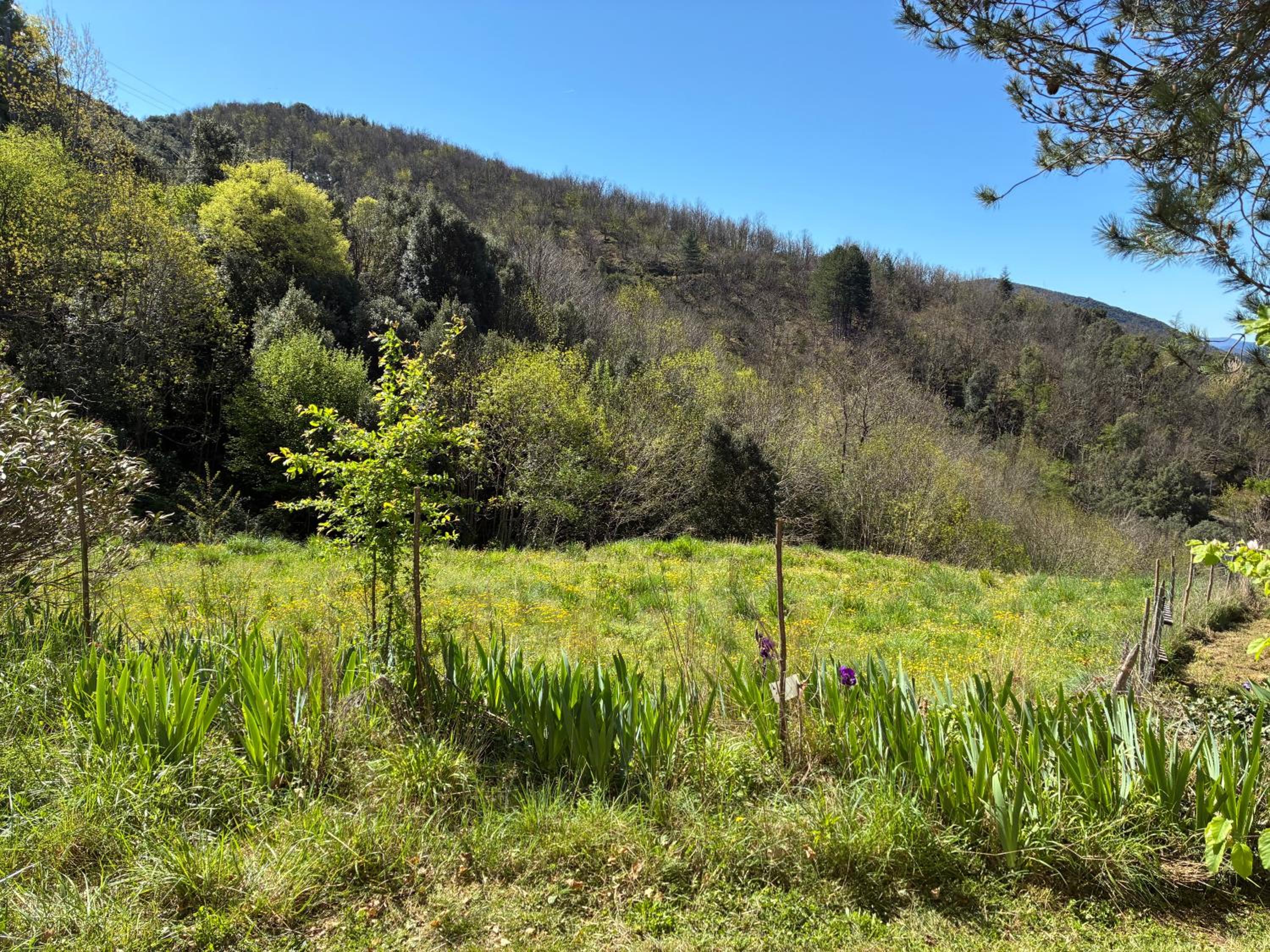 La villa Les Rosiers en Cévennes