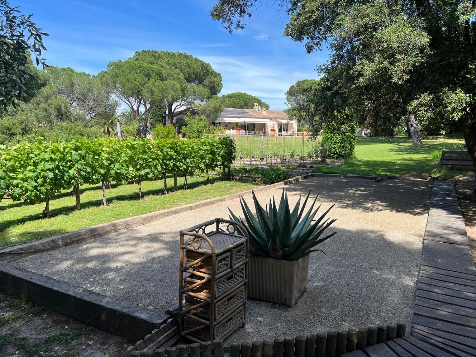 Villa Siena, photo 44