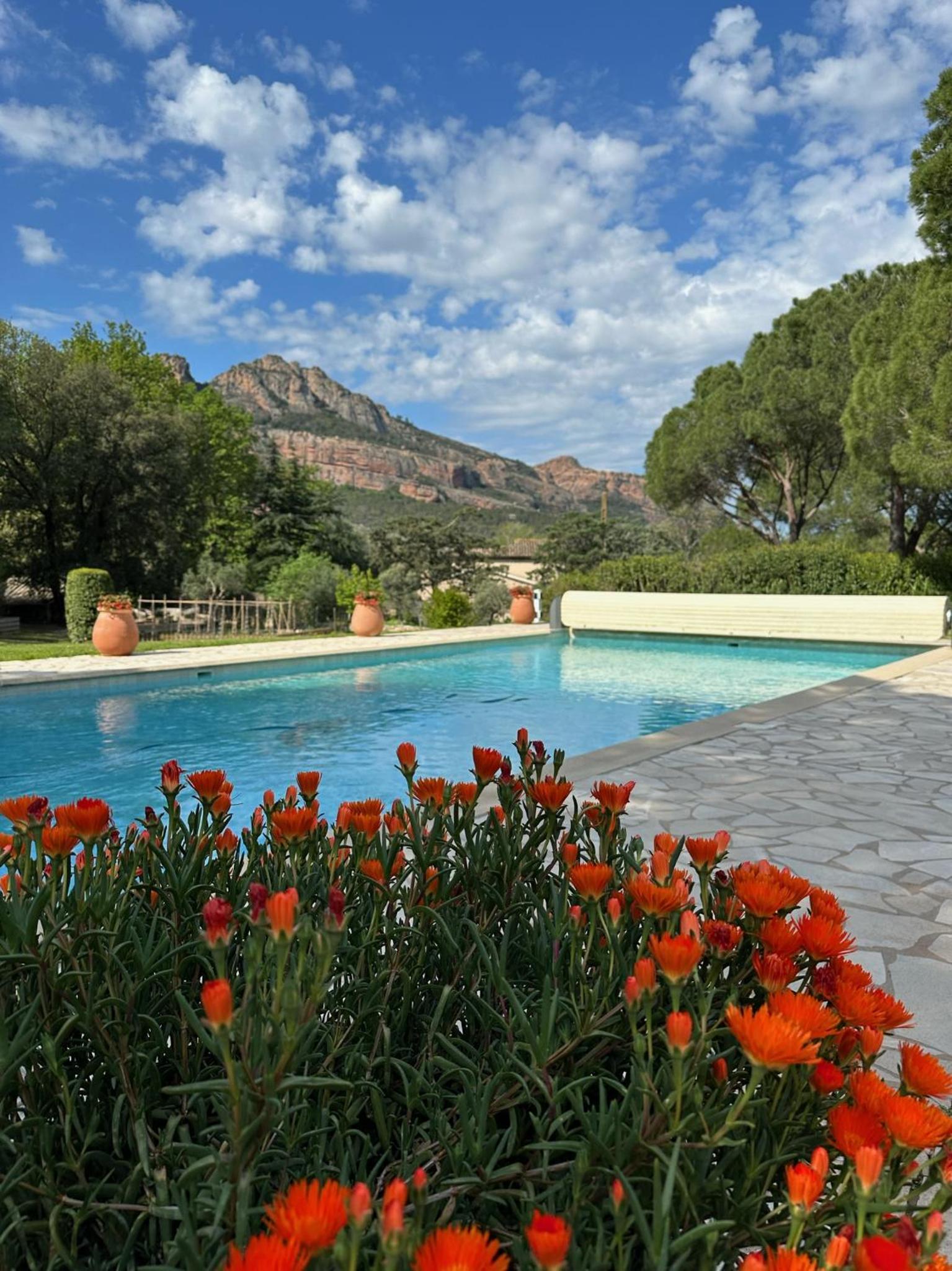 Villa Siena, photo 50