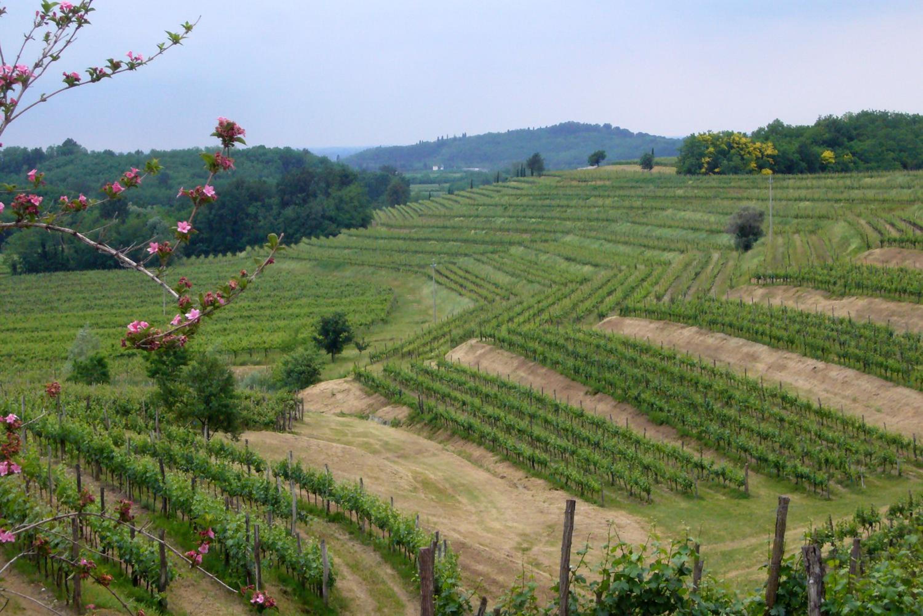 AGRITURISMO Casa Riz