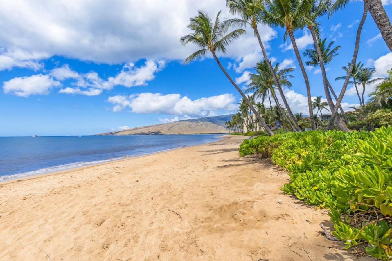 Beachfront Condo in Kihei