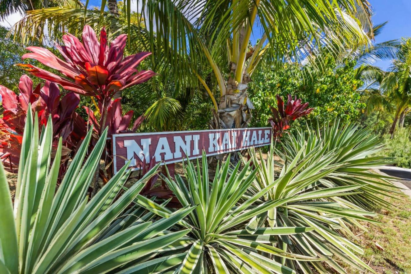 Beachfront Condo in Kihei