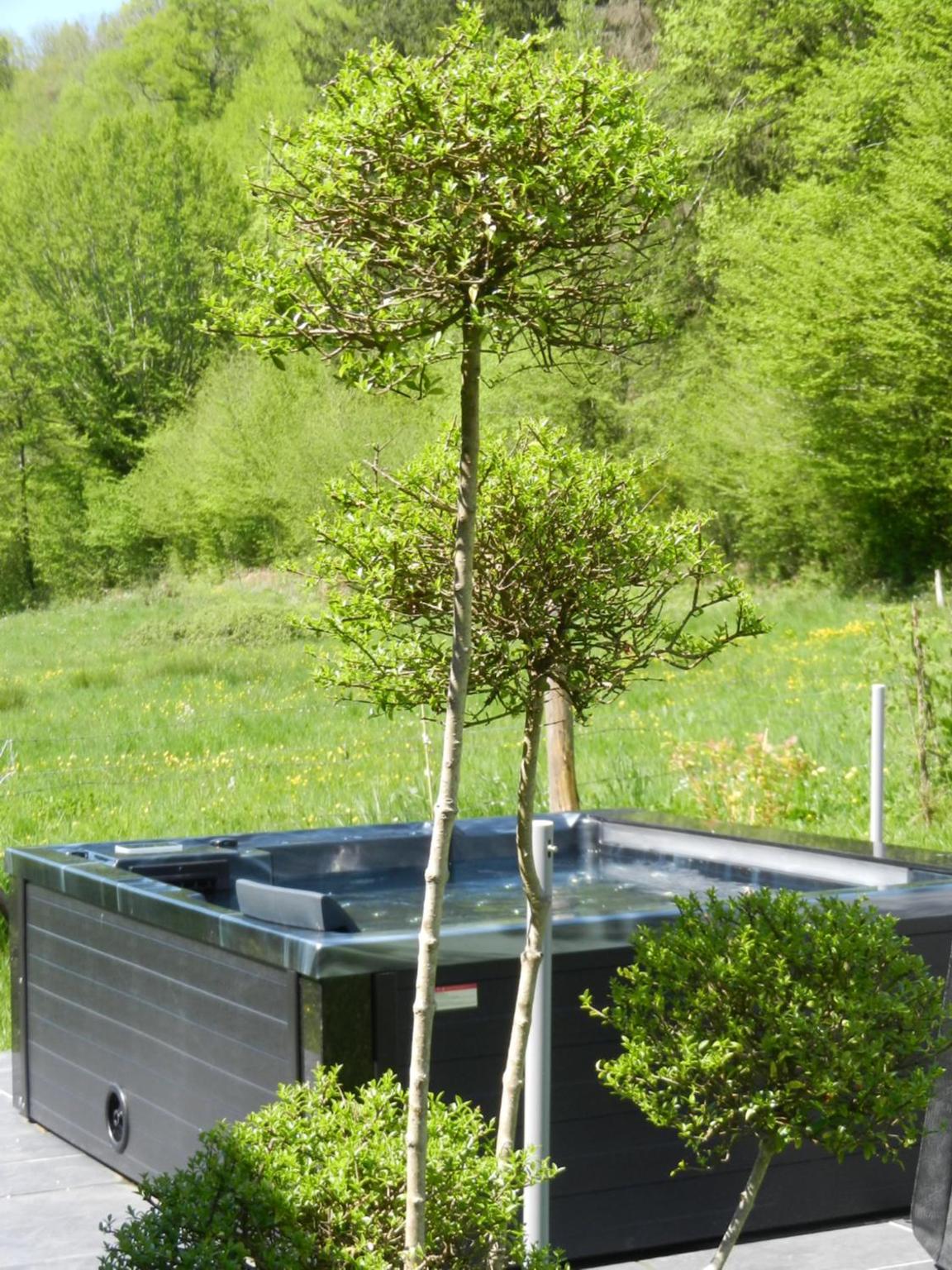 Cabane-Spa Cocon du Gast