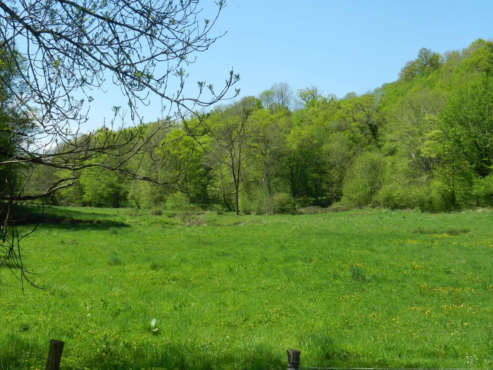 Cabane-Spa Cocon du Gast