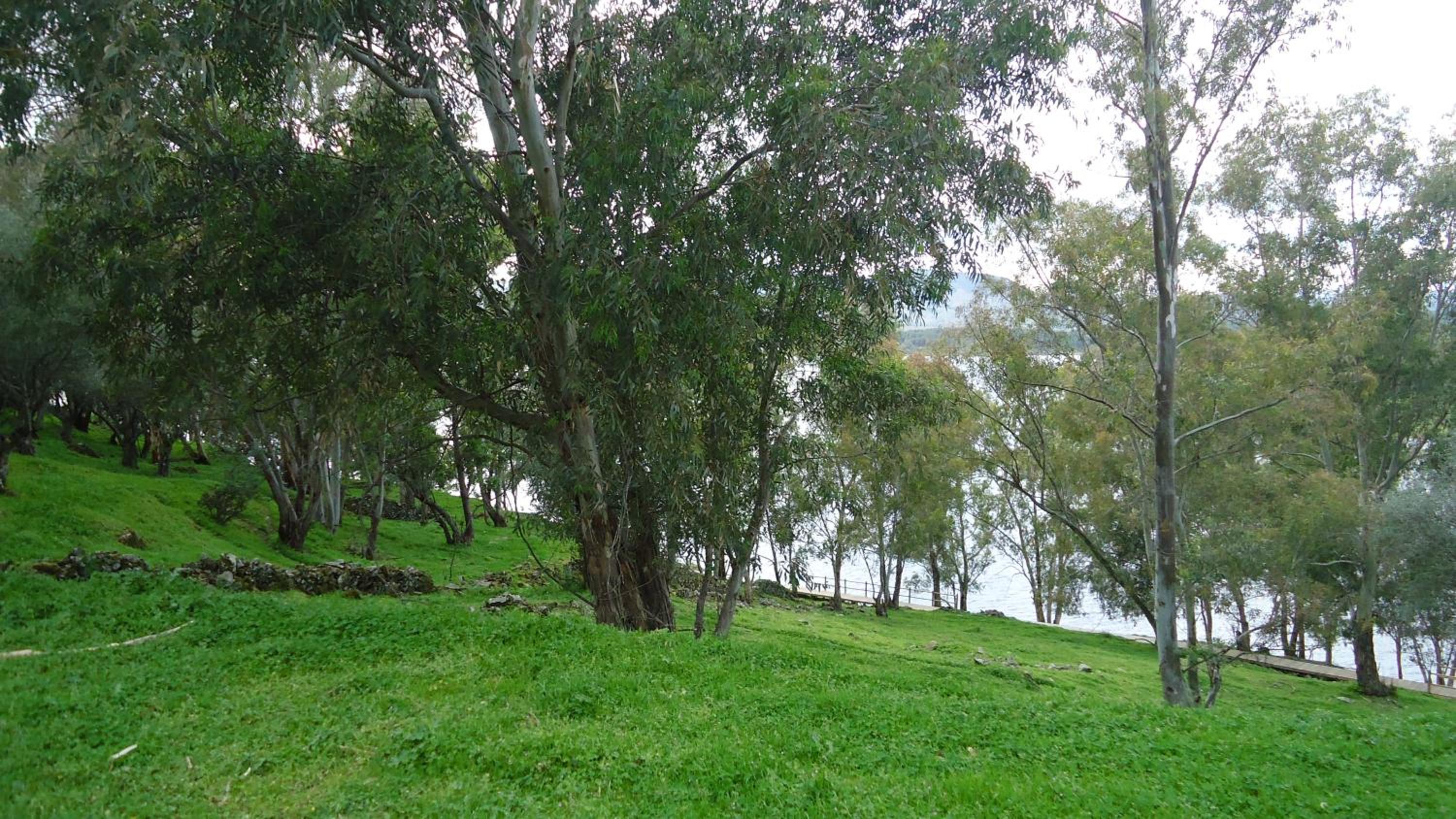 Photo 25