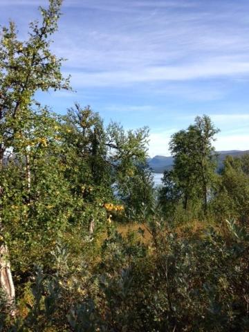 Photo 44