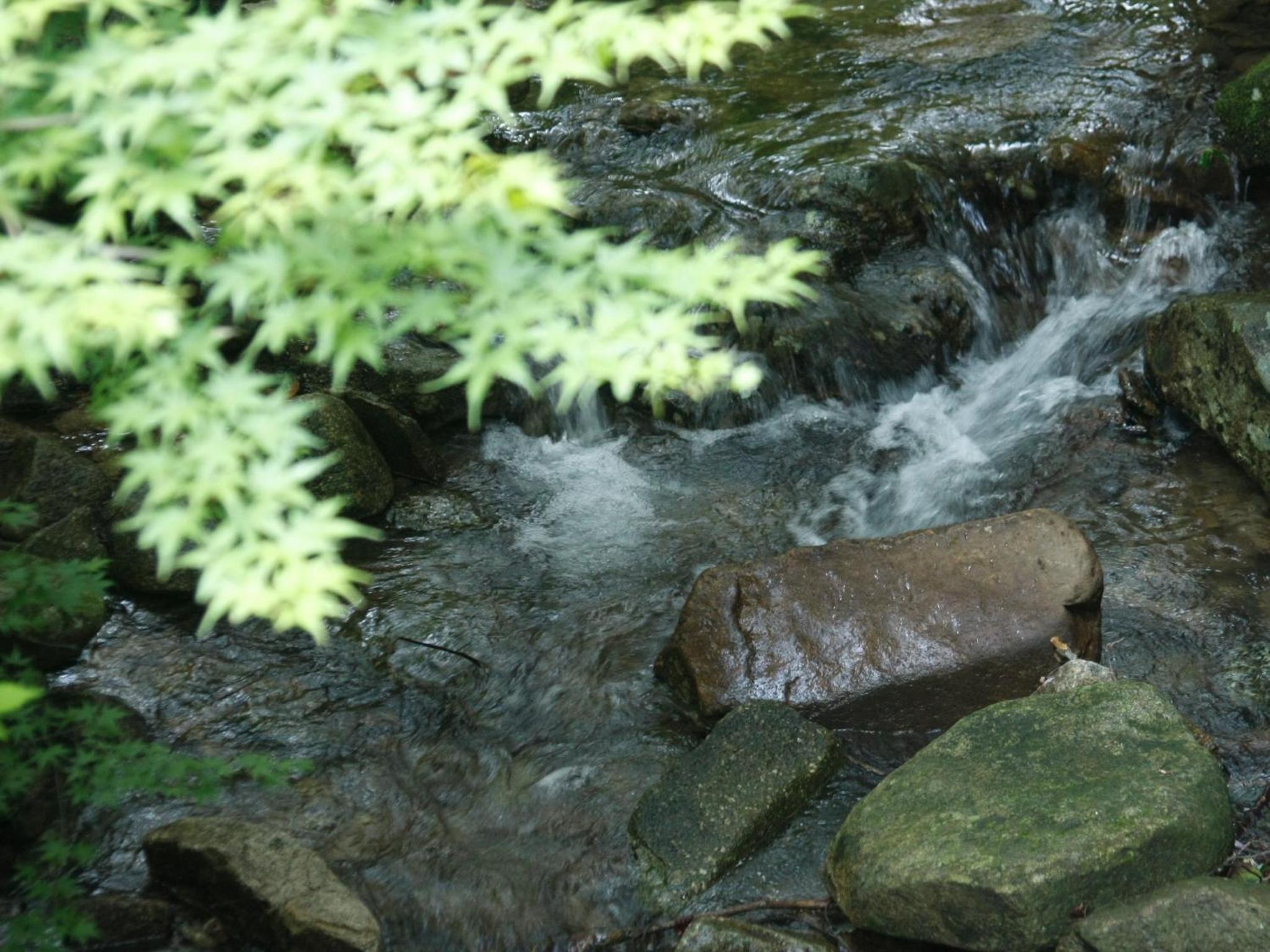 Photo 40