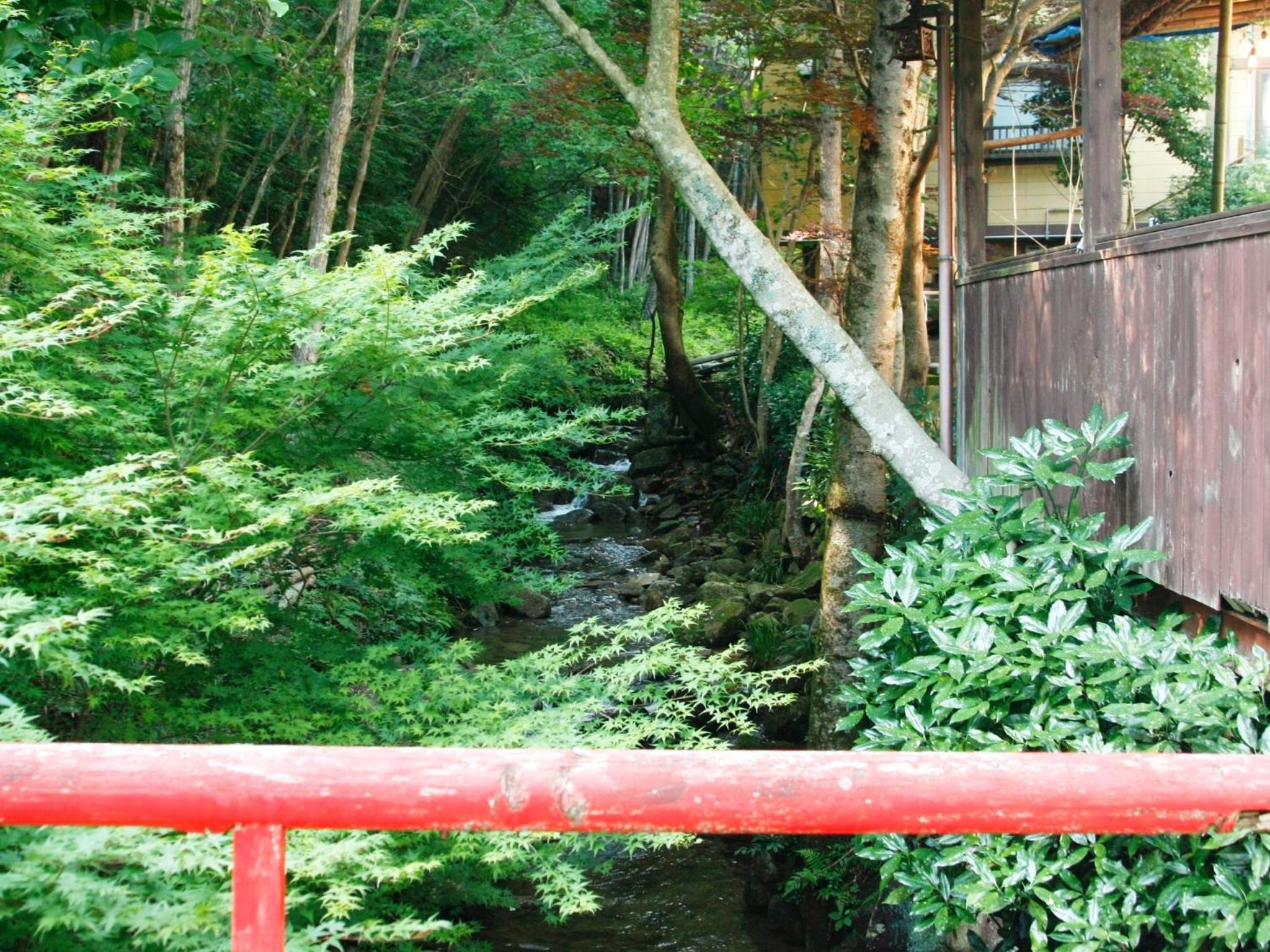 Photo 41